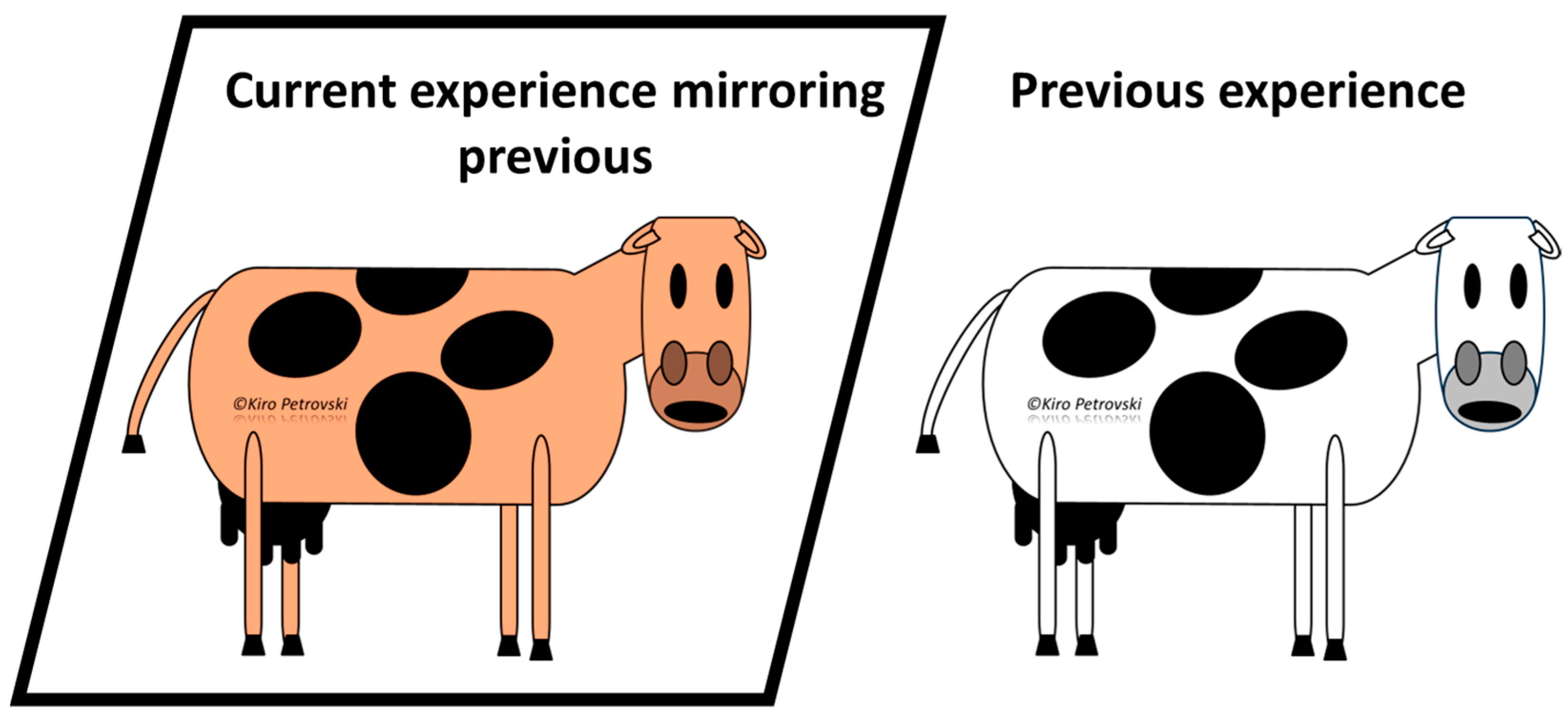 Vetsci 11 00433 g009