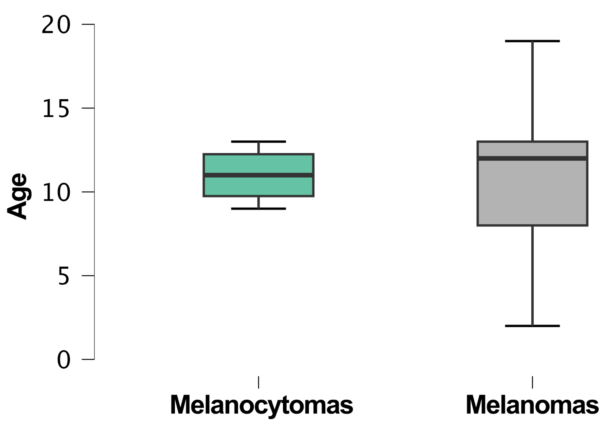 Vetsci 11 00435 g004