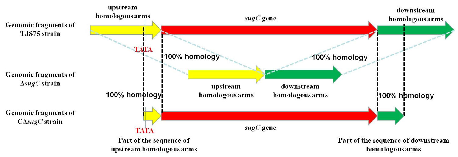 Vetsci 11 00447 g002 Vetsci 11 00447 g002