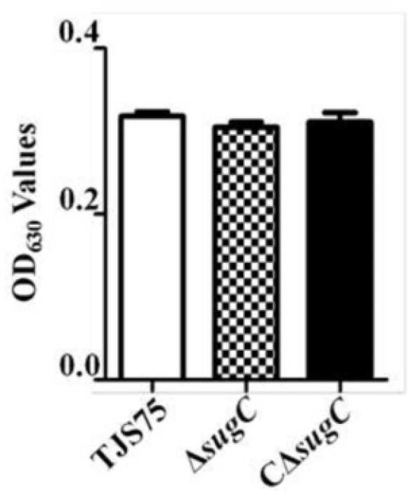 Vetsci 11 00447 g005 Vetsci 11 00447 g005