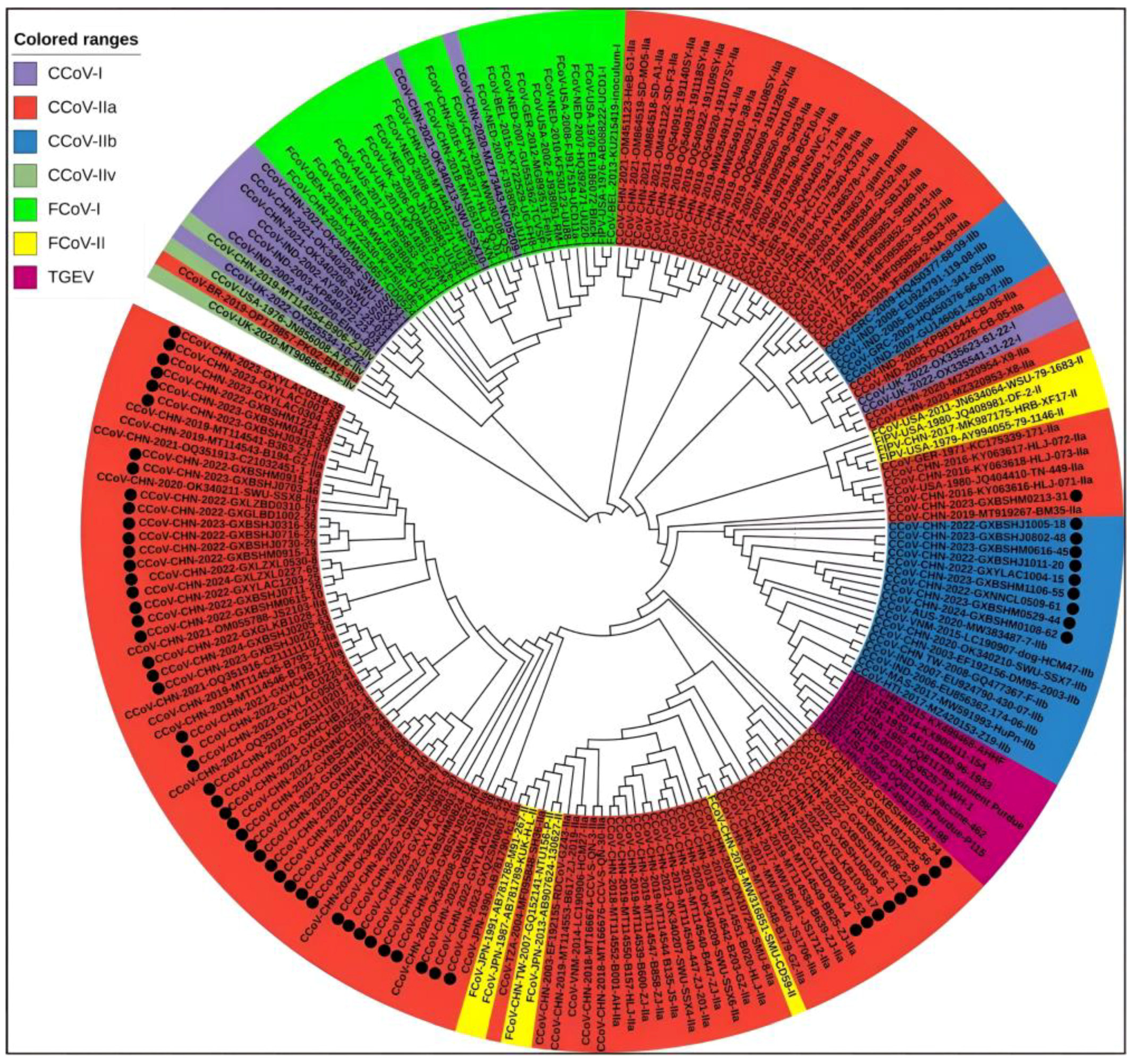 Vetsci 11 00456 g004