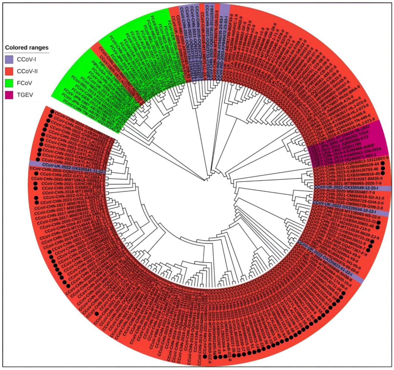 Vetsci 11 00456 g005