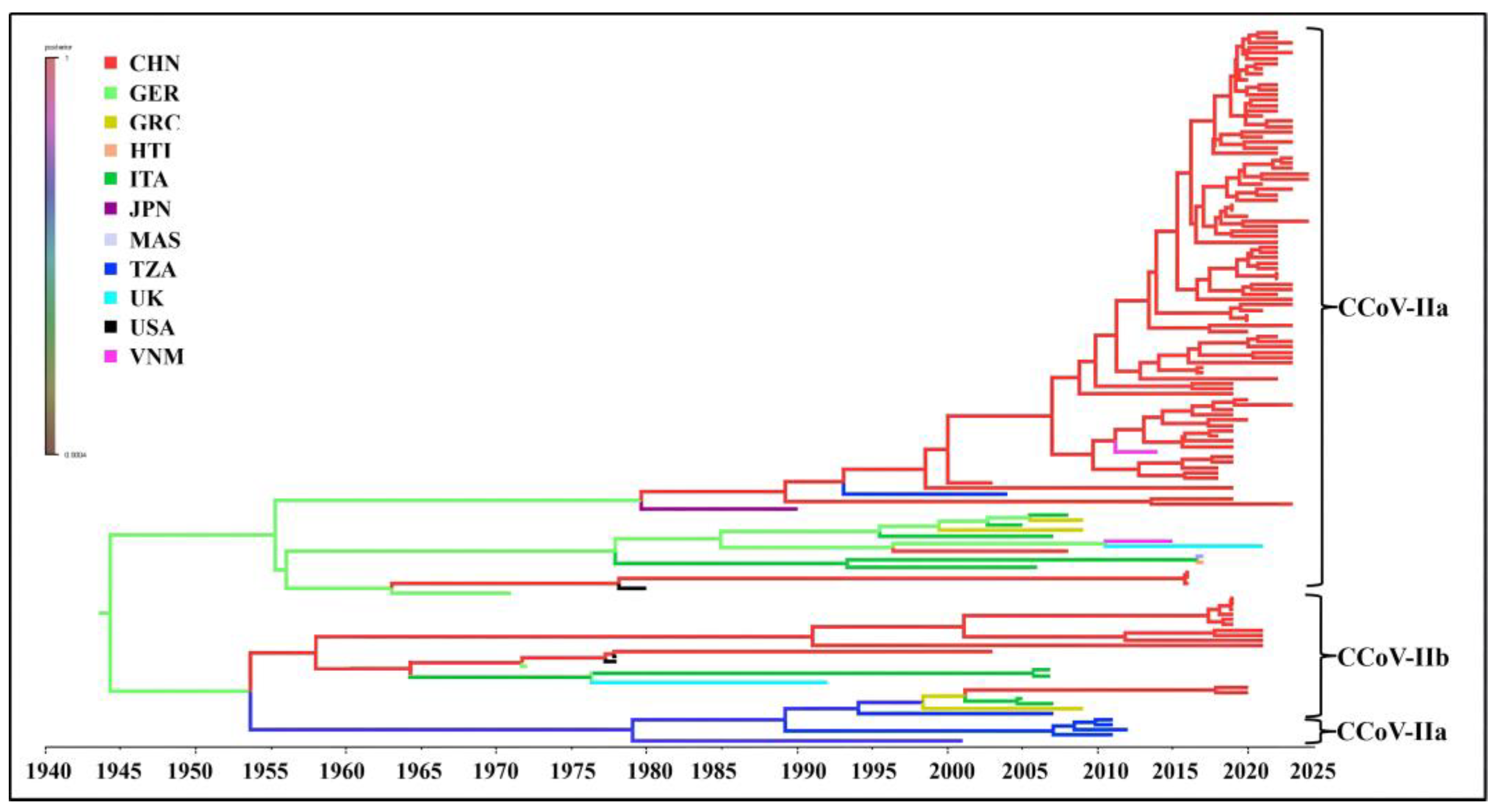 Vetsci 11 00456 g007