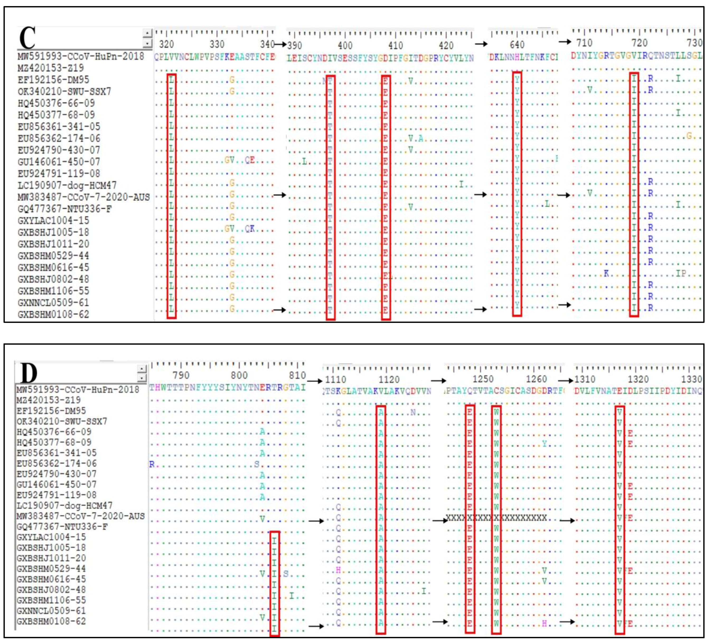 Vetsci 11 00456 g009c