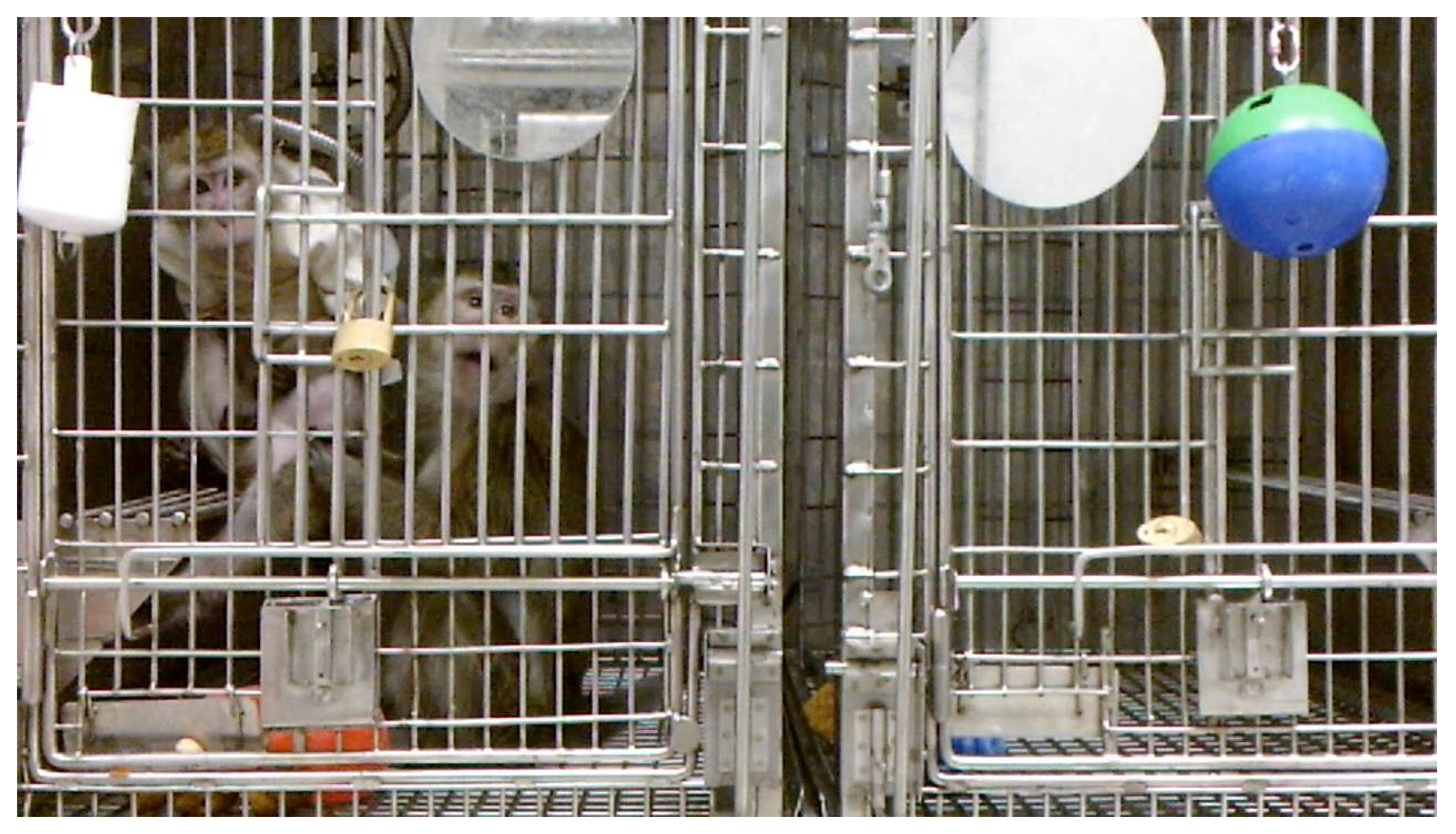 Vetsci 11 00460 g002