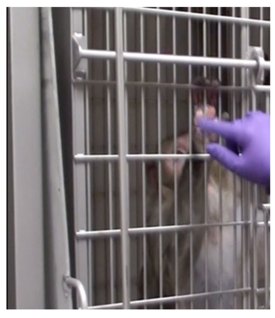 Vetsci 11 00460 g003