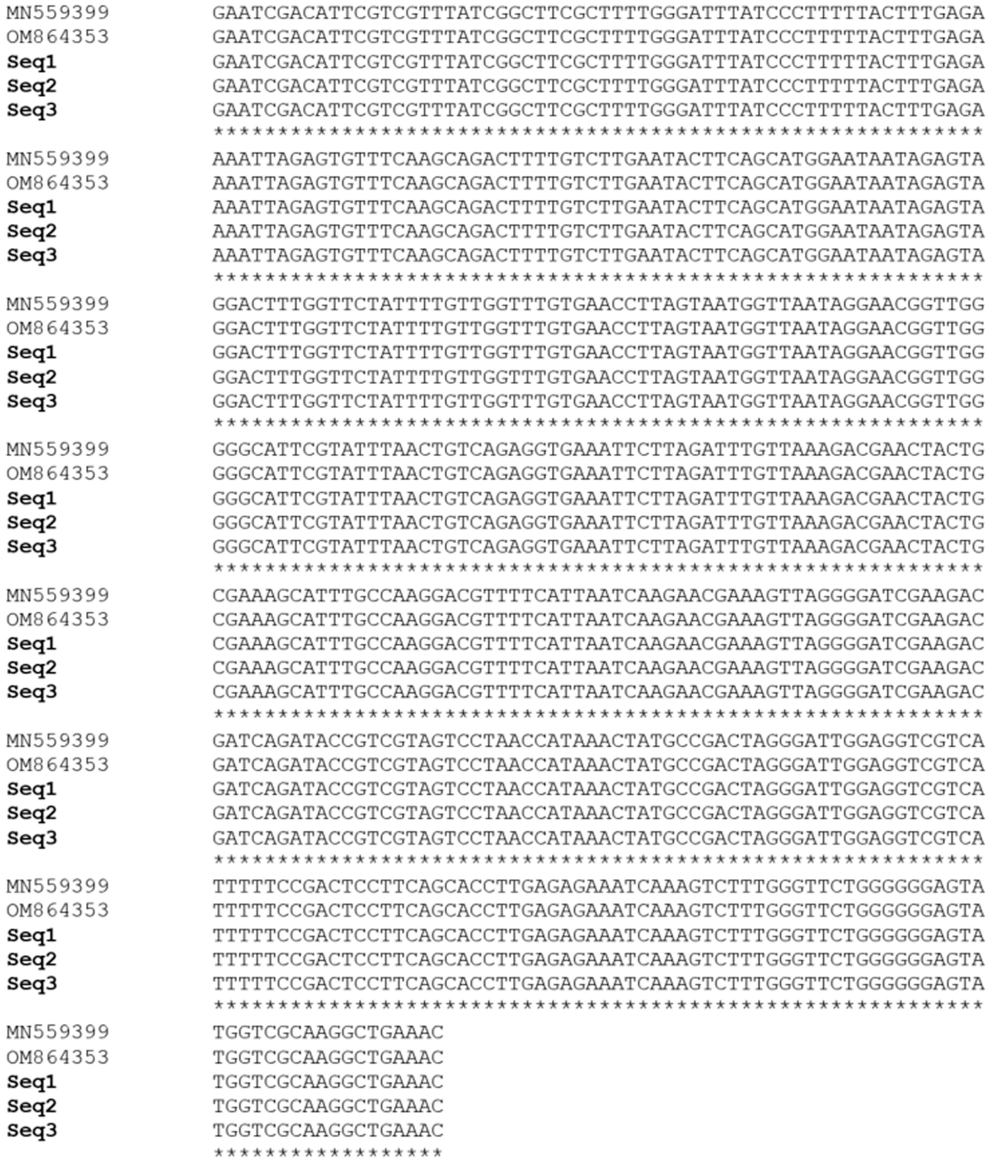 Vetsci 11 00466 g003