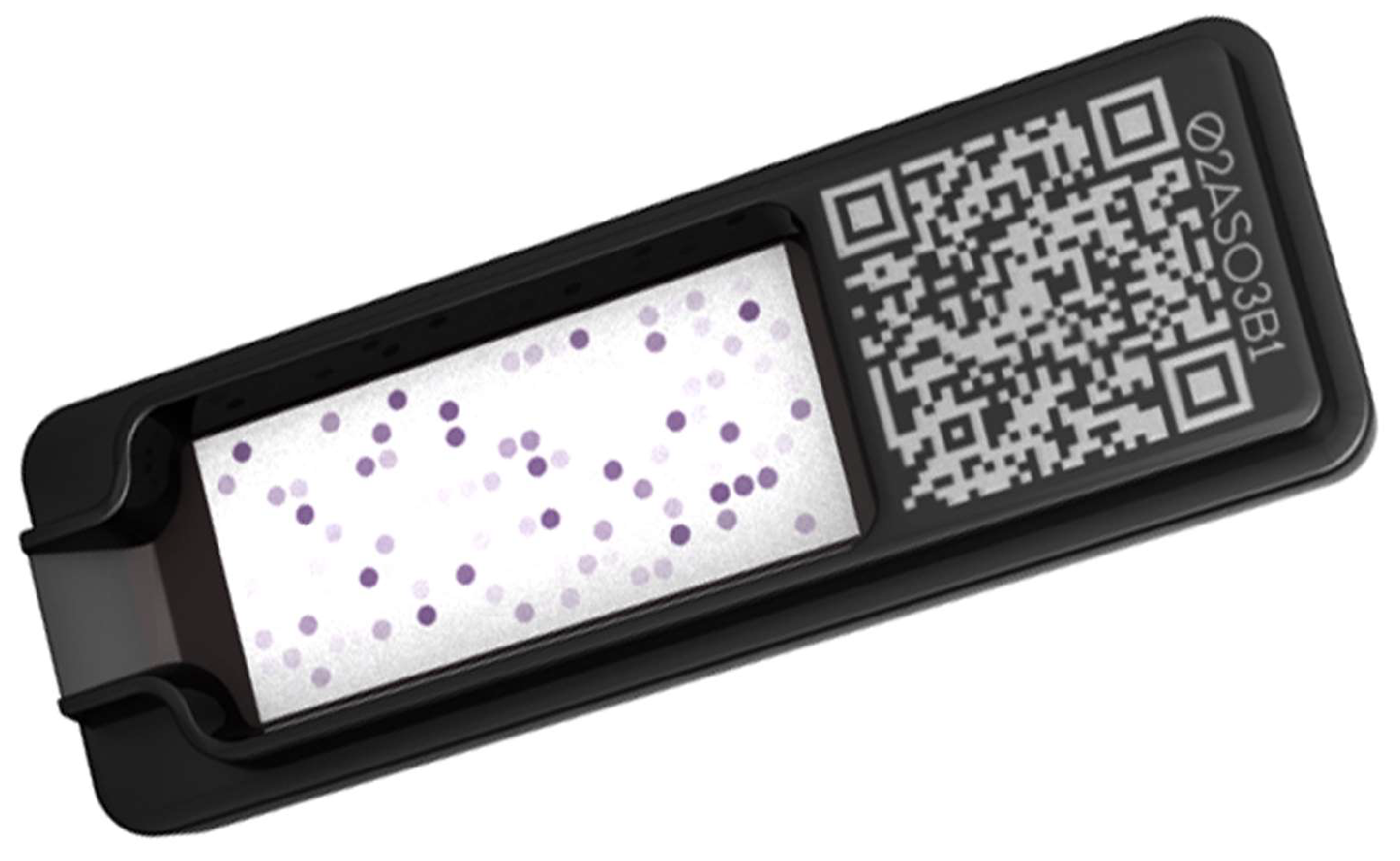 Vetsci 11 00482 g001