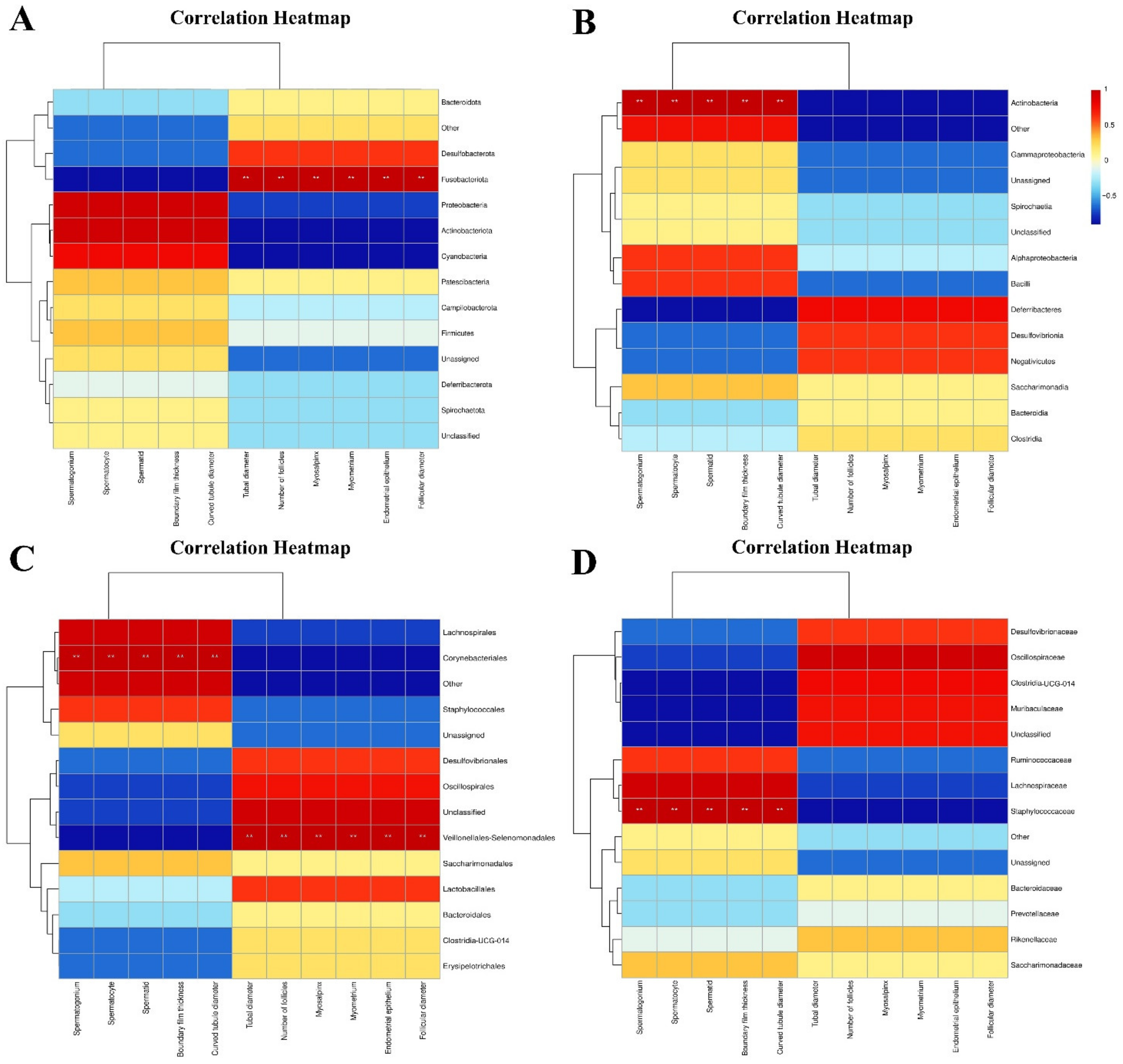 Vetsci 11 00488 g003