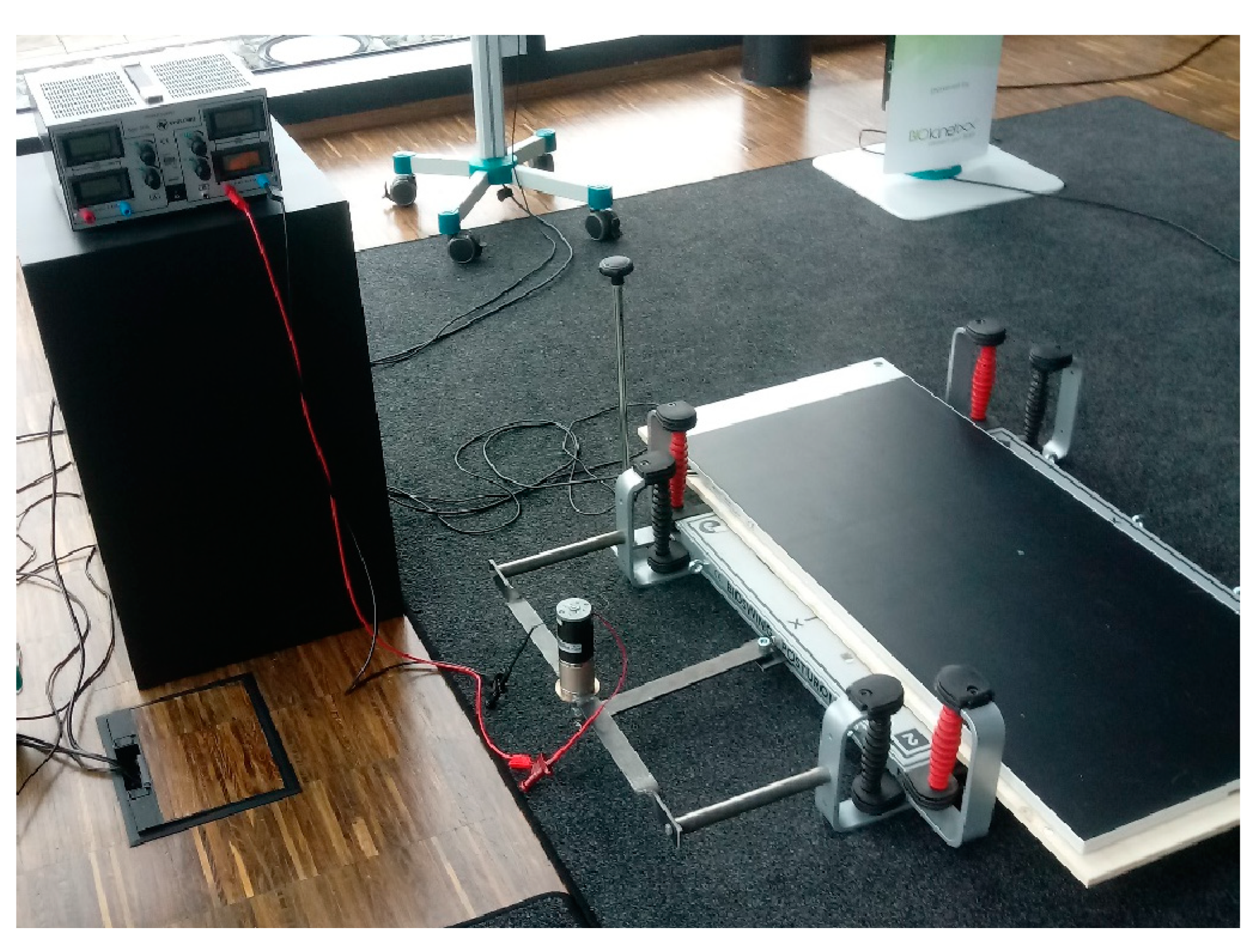 Vetsci 11 00498 g001