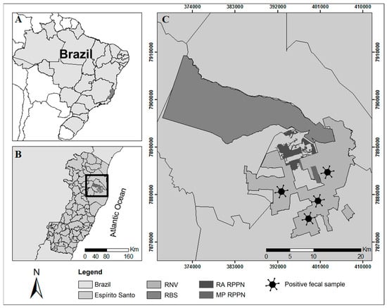 Vetsci 11 00511 g001