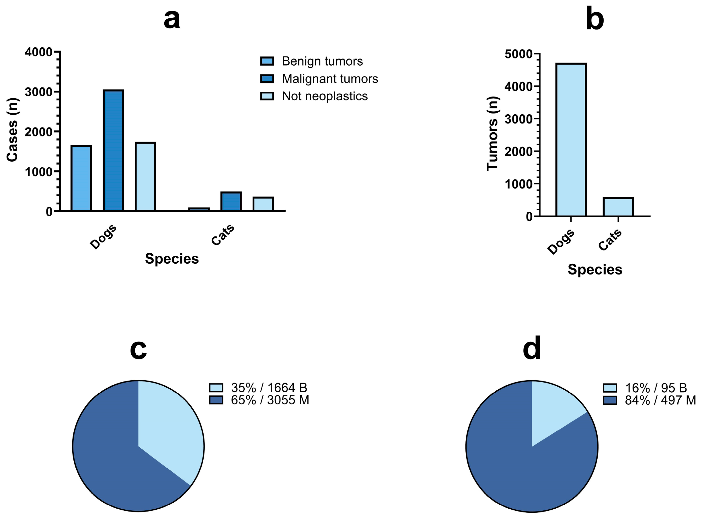Vetsci 11 00521 g001