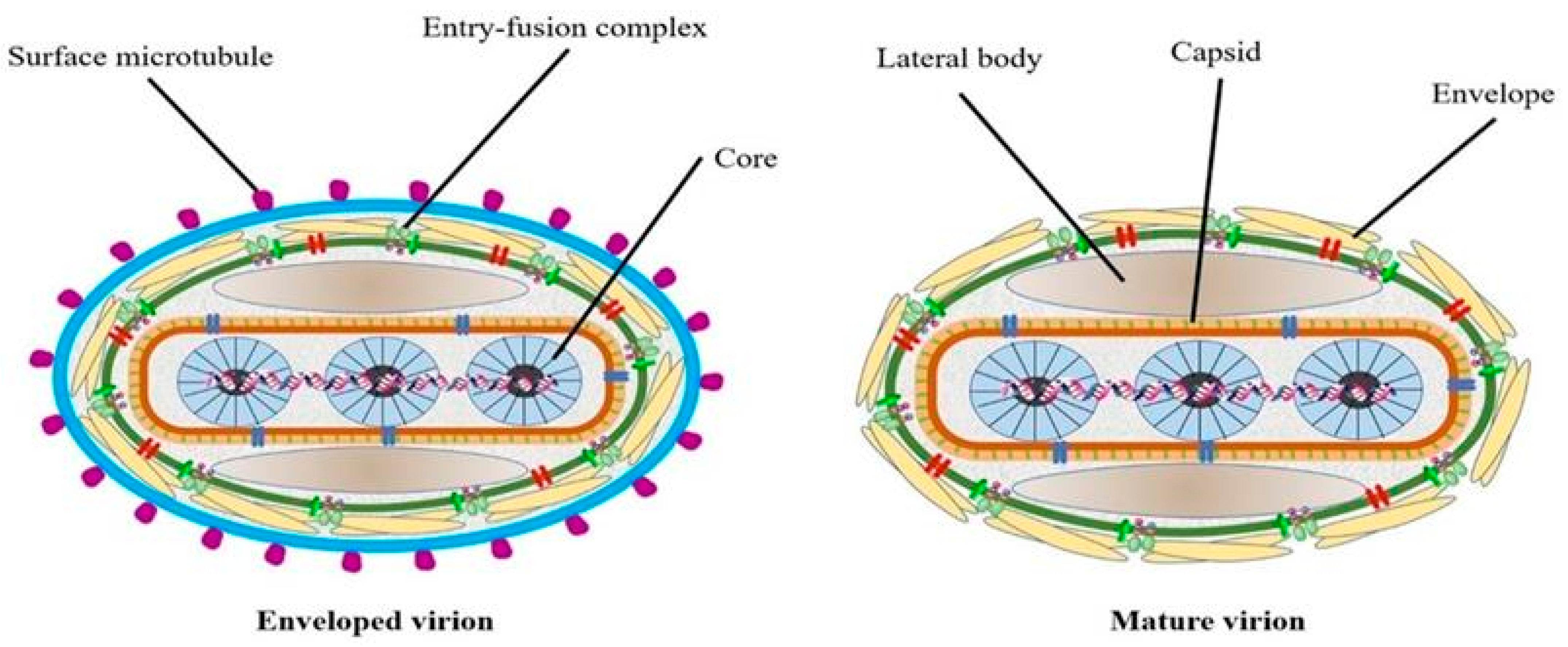 Vetsci 11 00561 g001