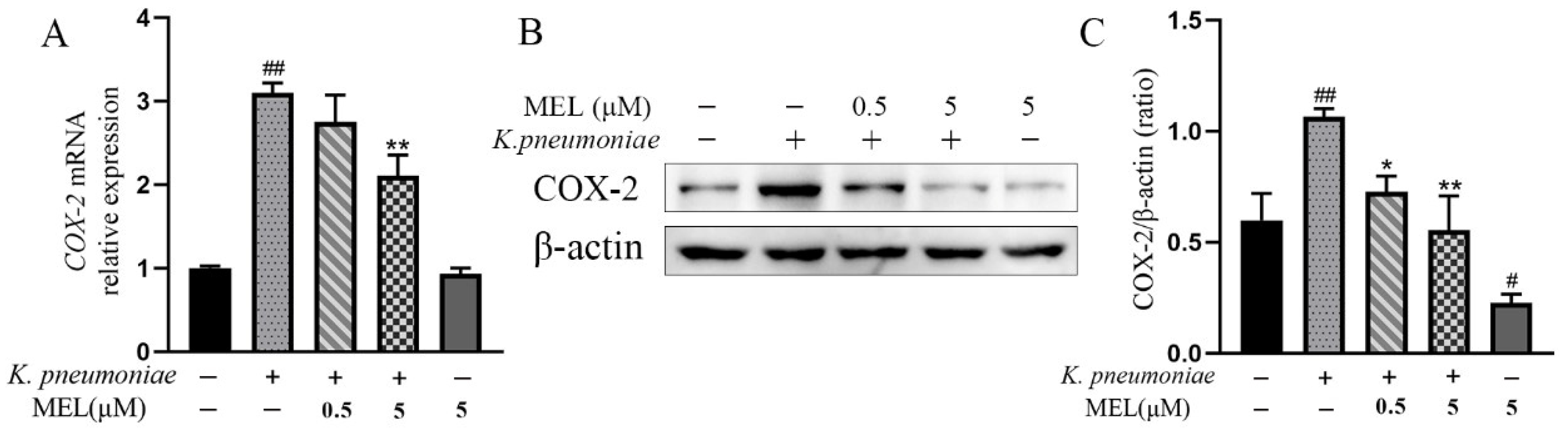 Vetsci 11 00607 g003
