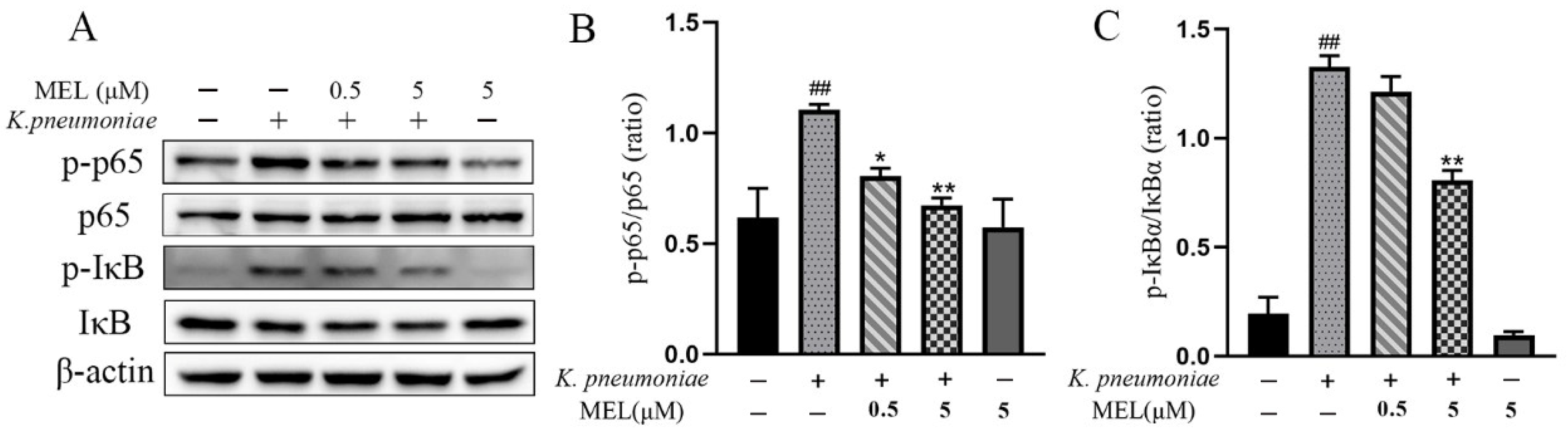 Vetsci 11 00607 g005