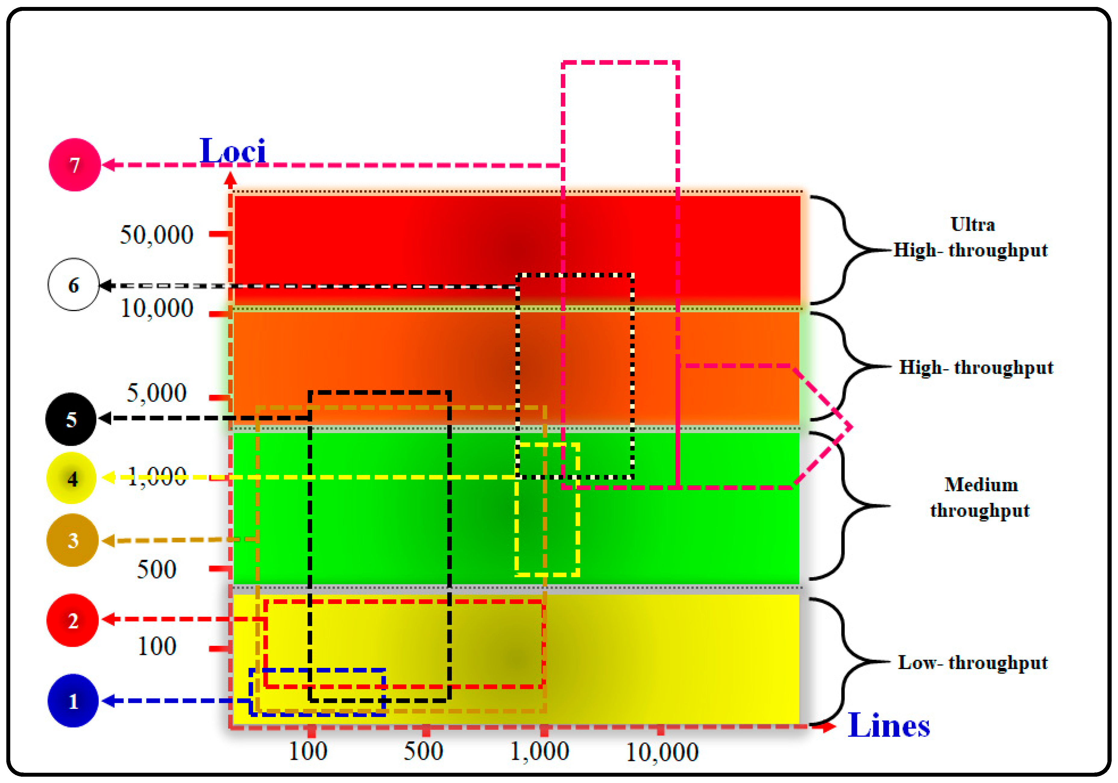 Vetsci 11 00627 g001 Vetsci 11 00627 g001