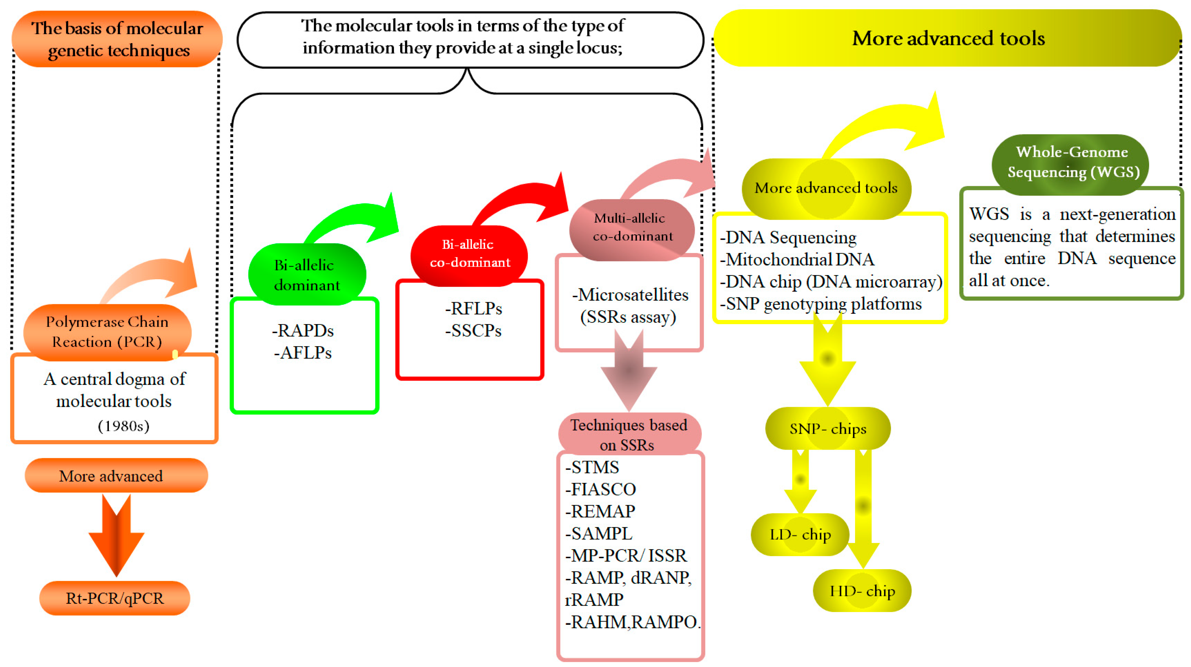 Vetsci 11 00627 g002 Vetsci 11 00627 g002