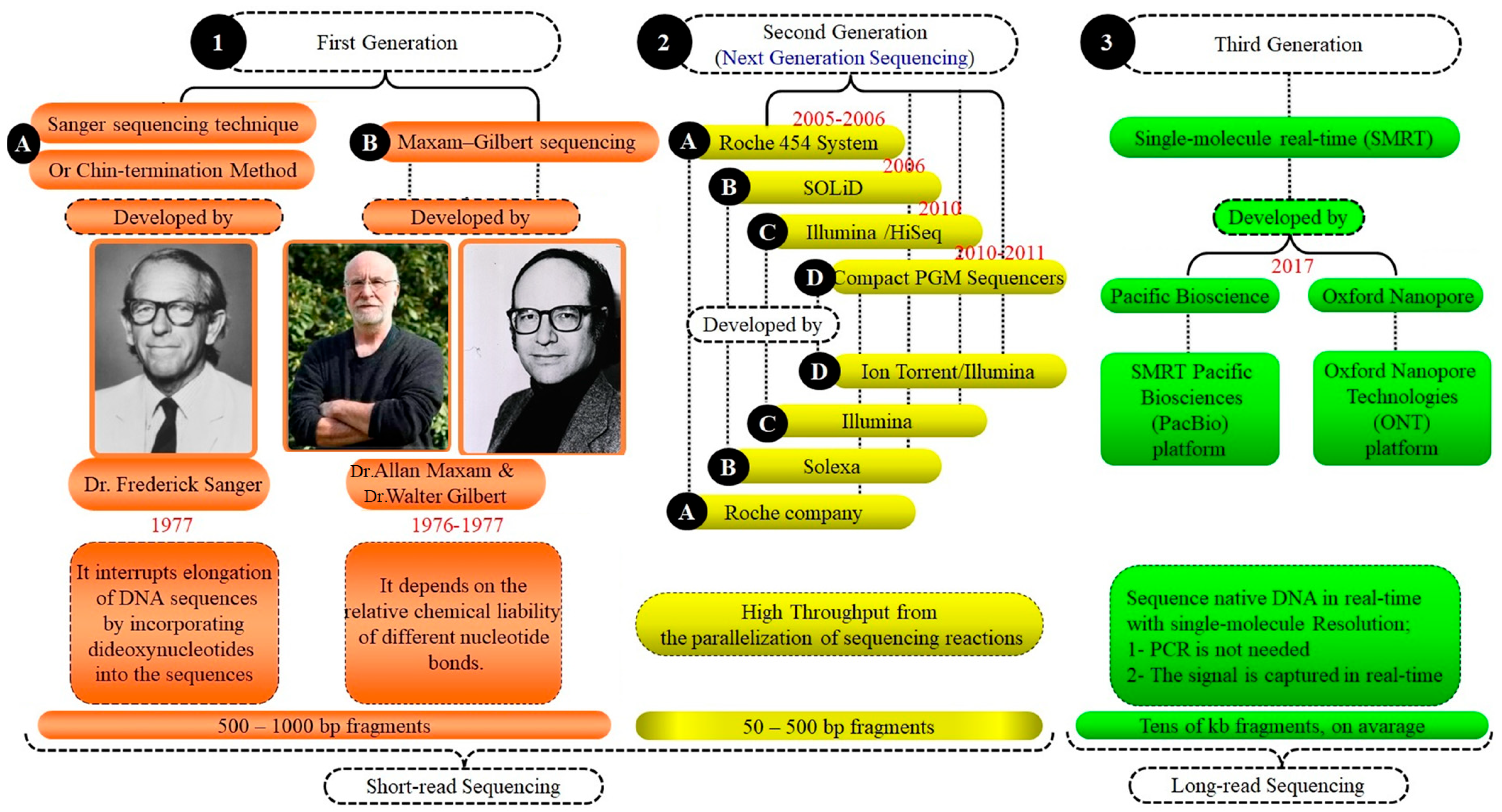 Vetsci 11 00627 g003 Vetsci 11 00627 g003