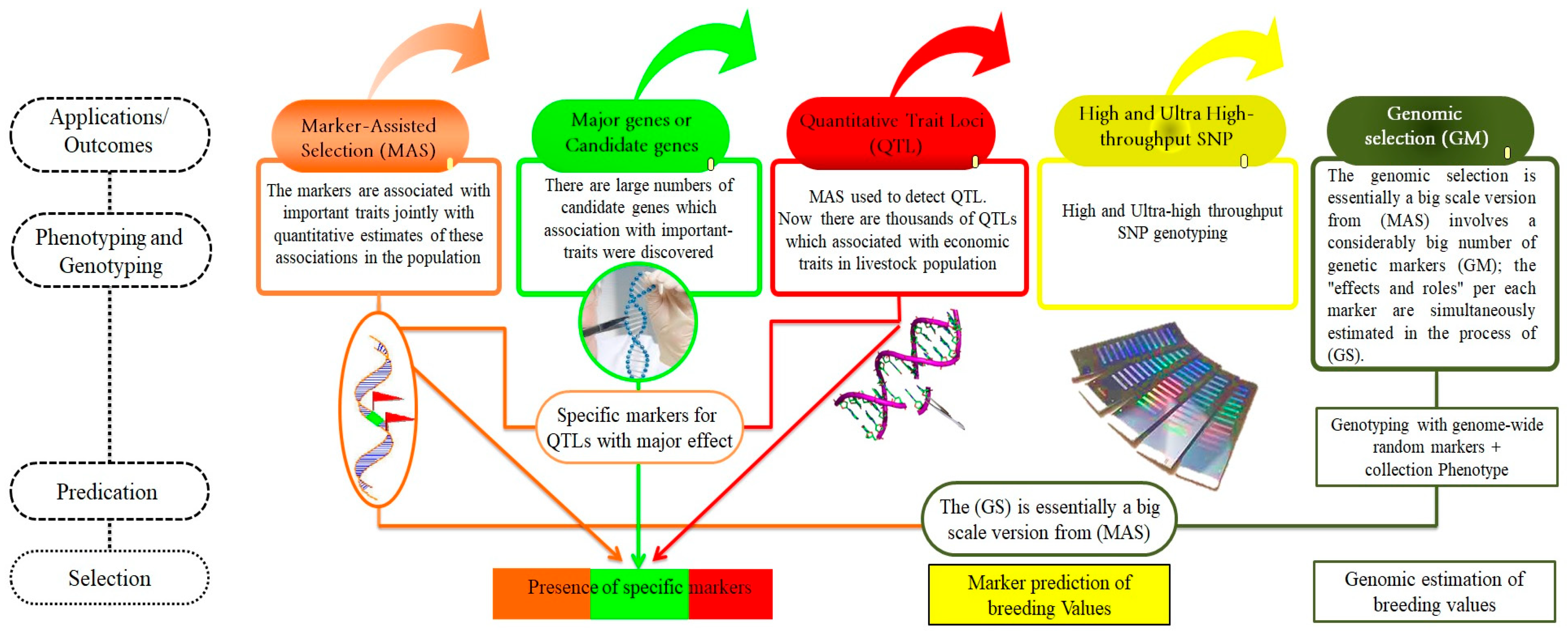 Vetsci 11 00627 g004 Vetsci 11 00627 g004