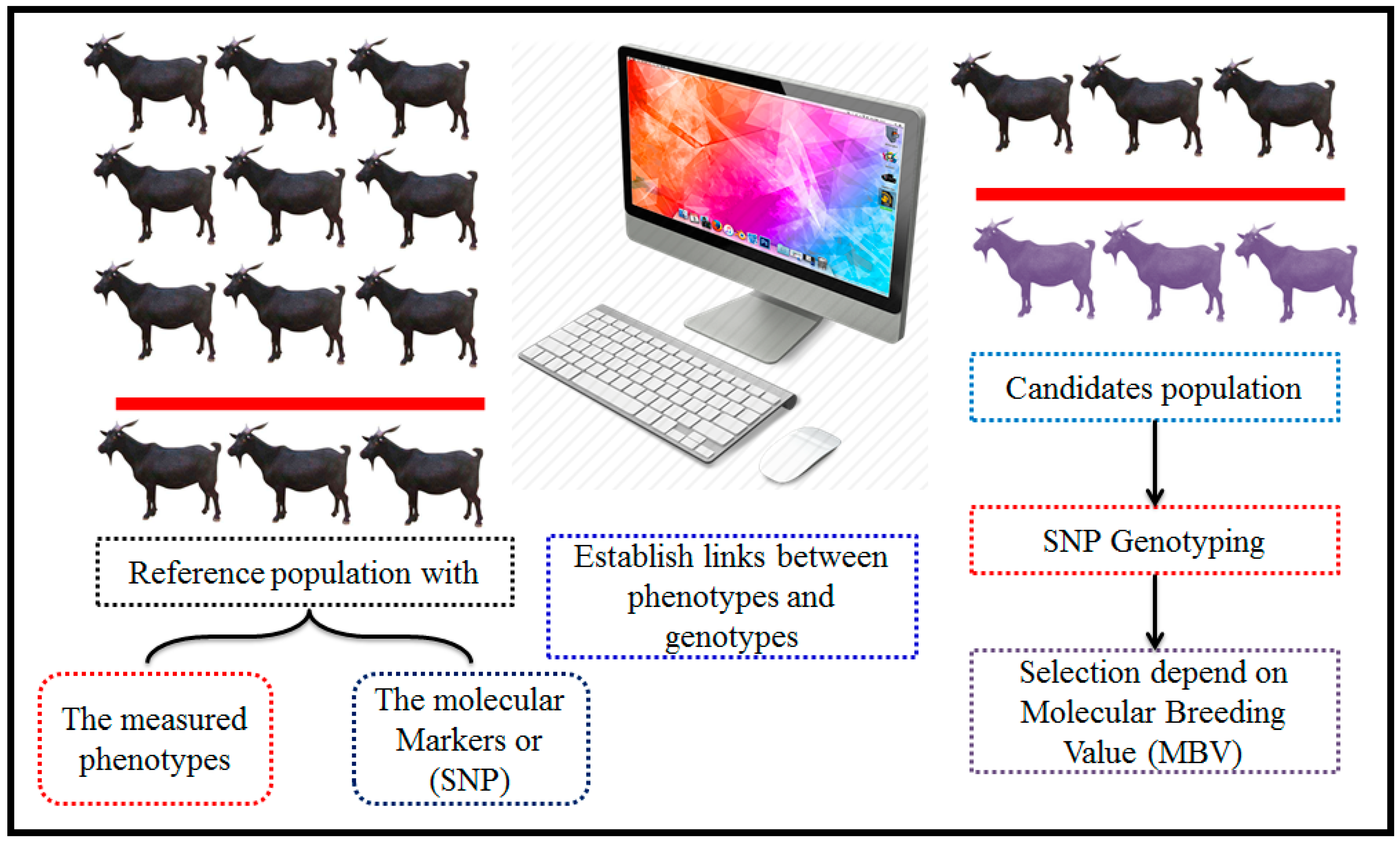 Vetsci 11 00627 g006 Vetsci 11 00627 g006