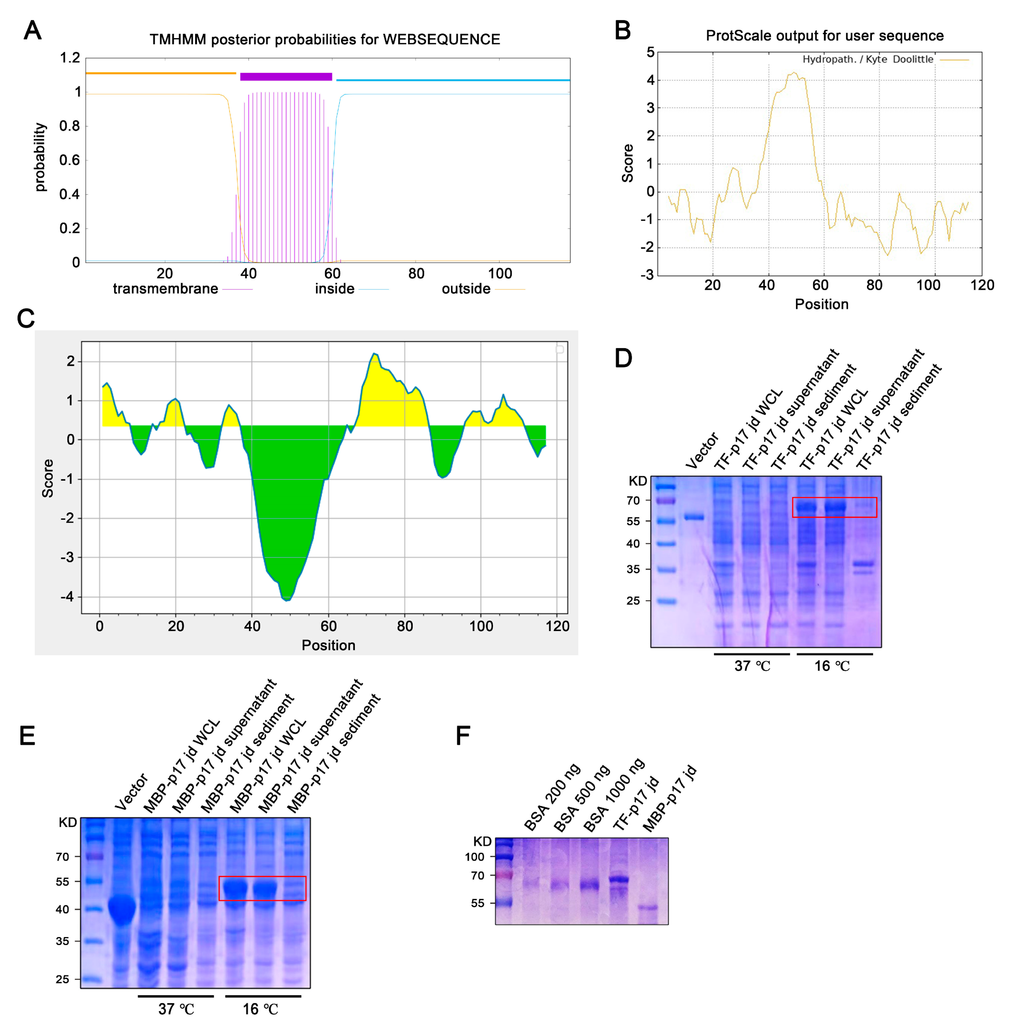 Vetsci 11 00650 g001