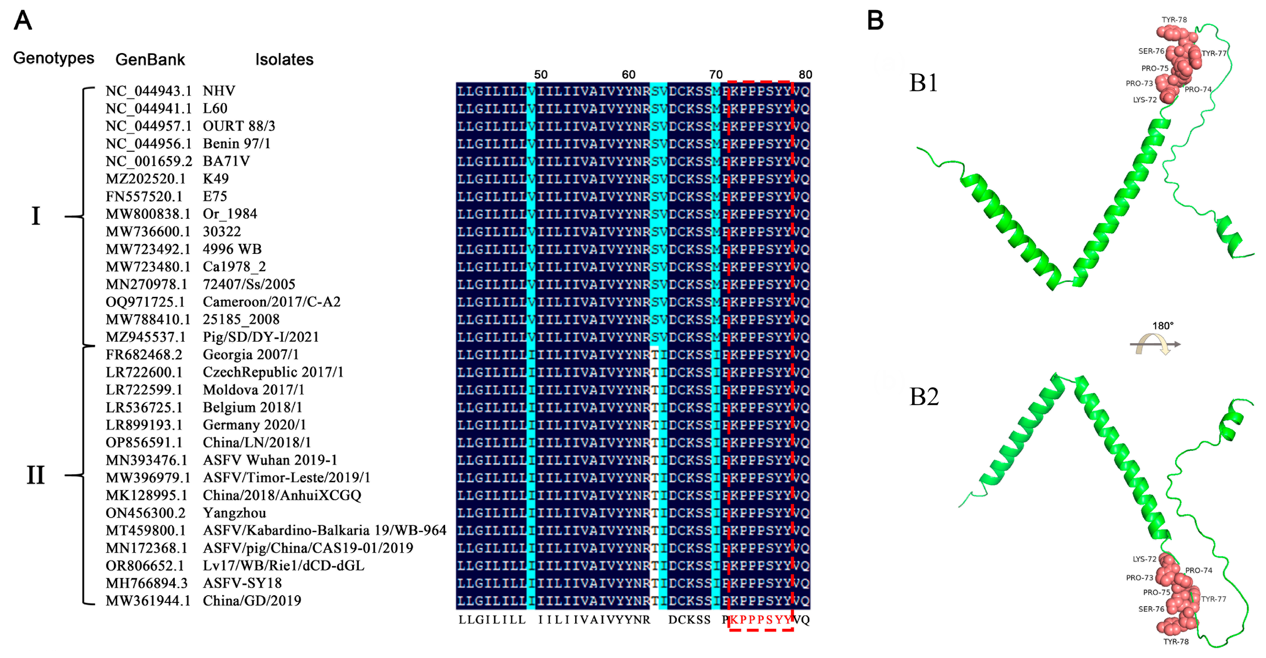 Vetsci 11 00650 g006