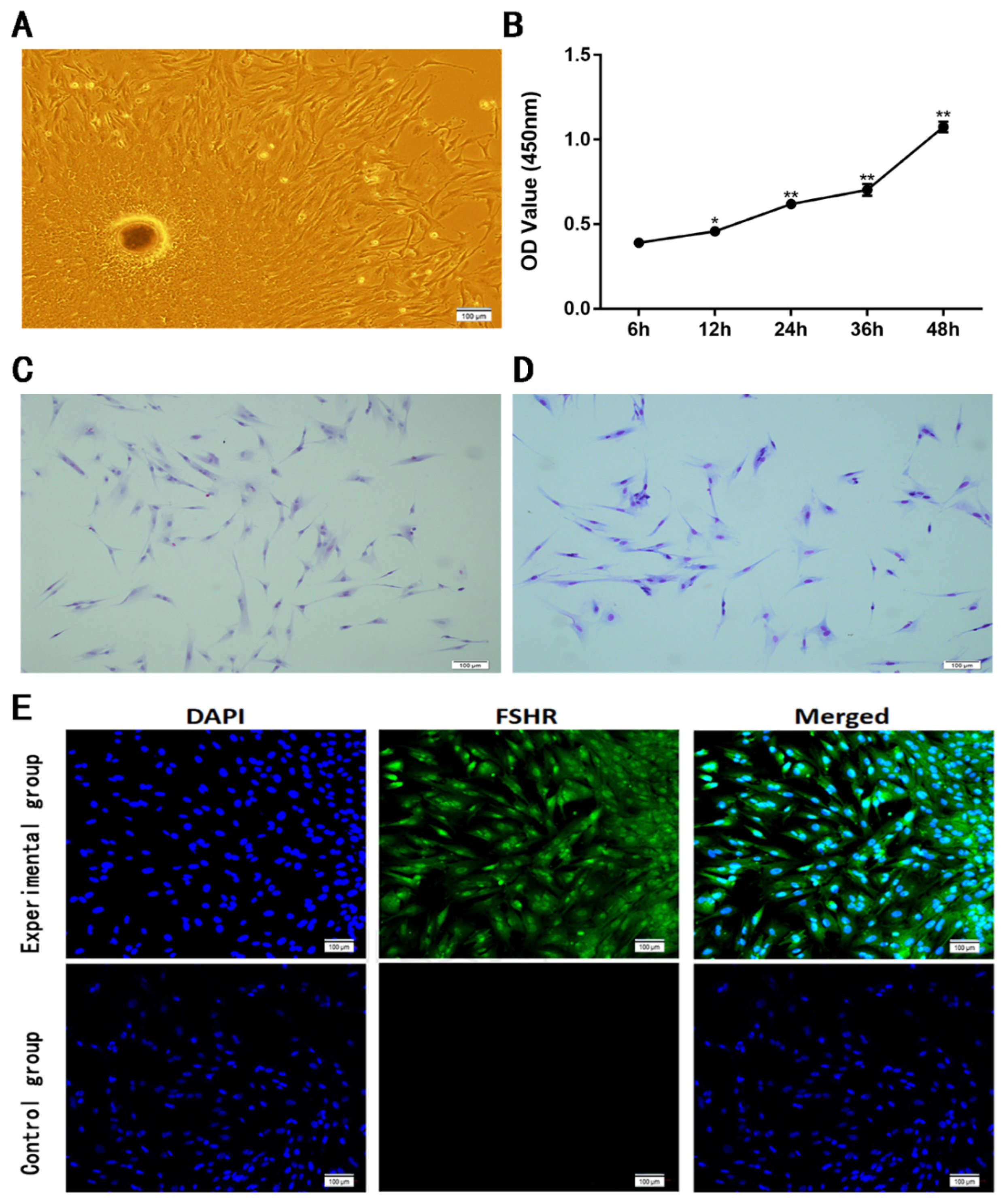 Vetsci 11 00663 g002