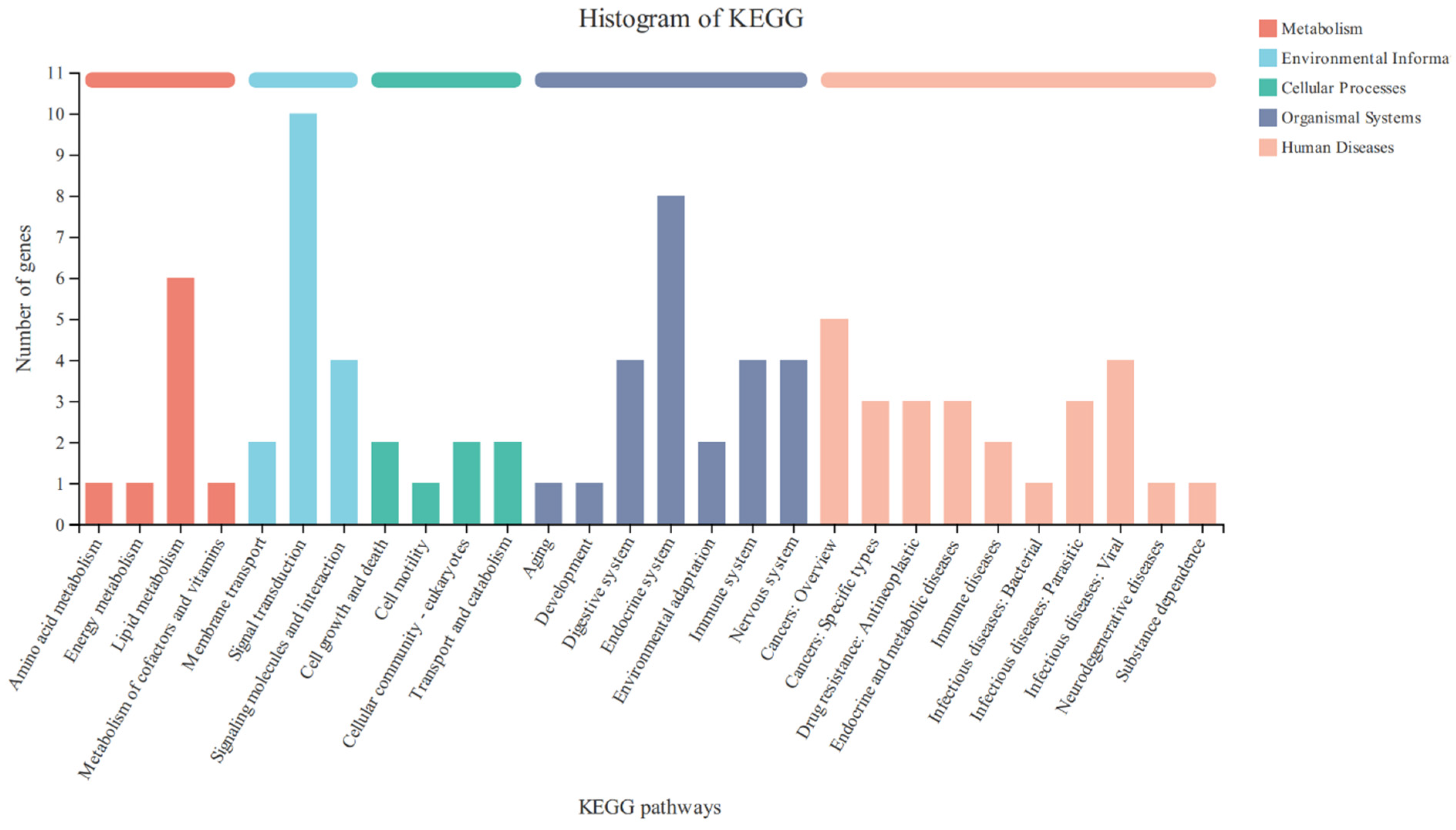 Vetsci 11 00663 g007