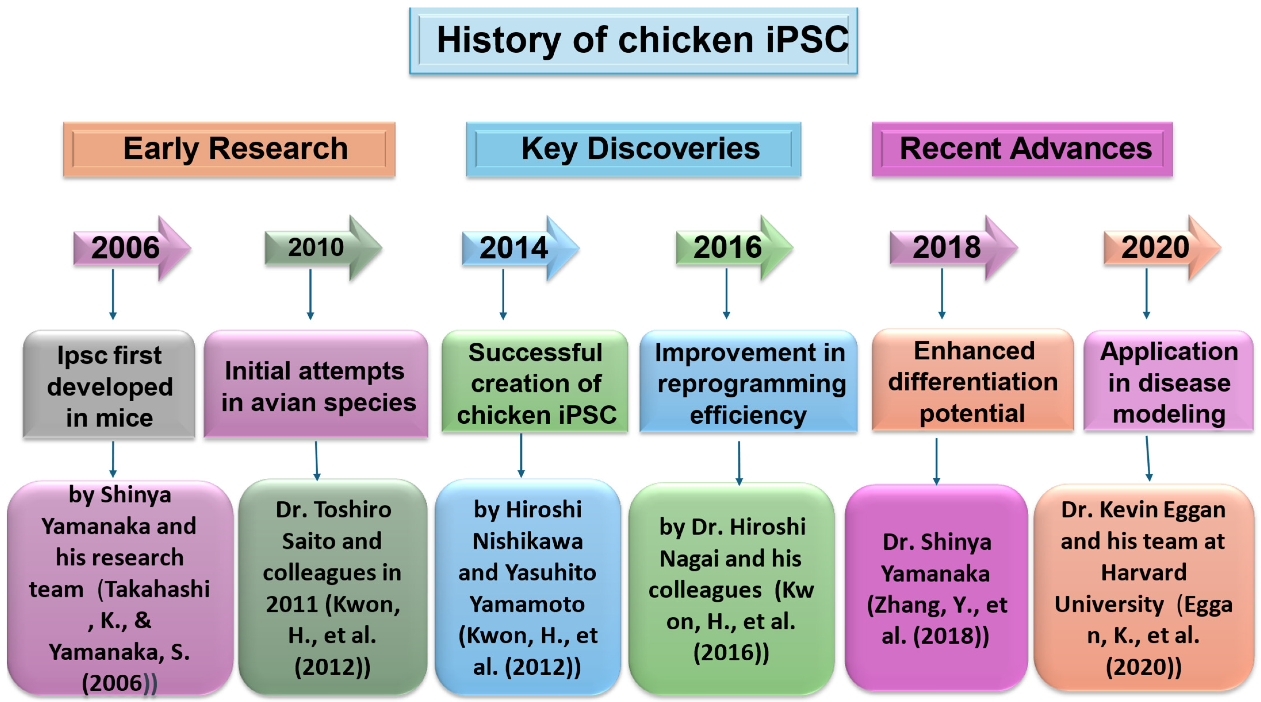 Vetsci 11 00666 g002