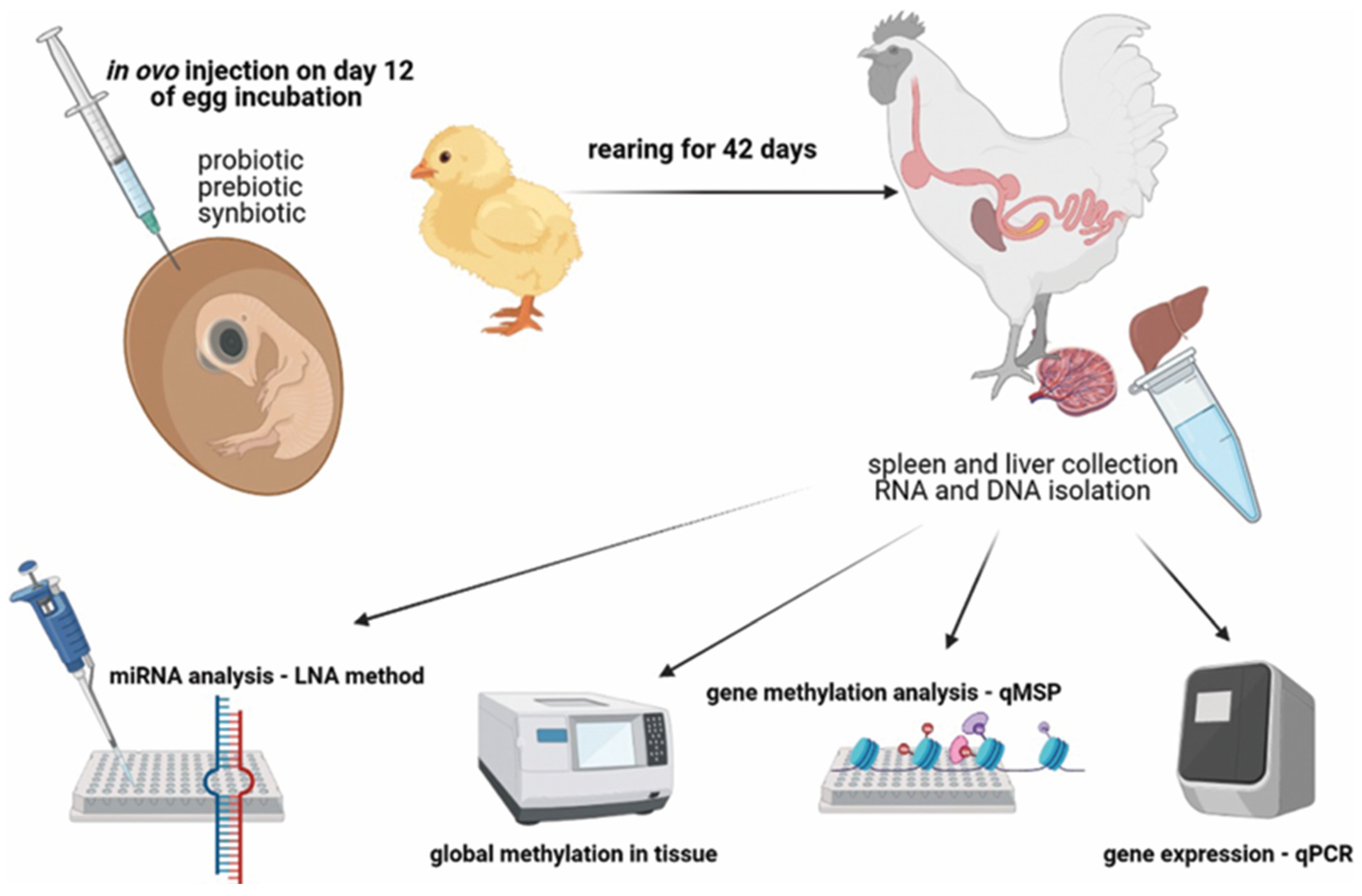 Vetsci 11 00666 g007