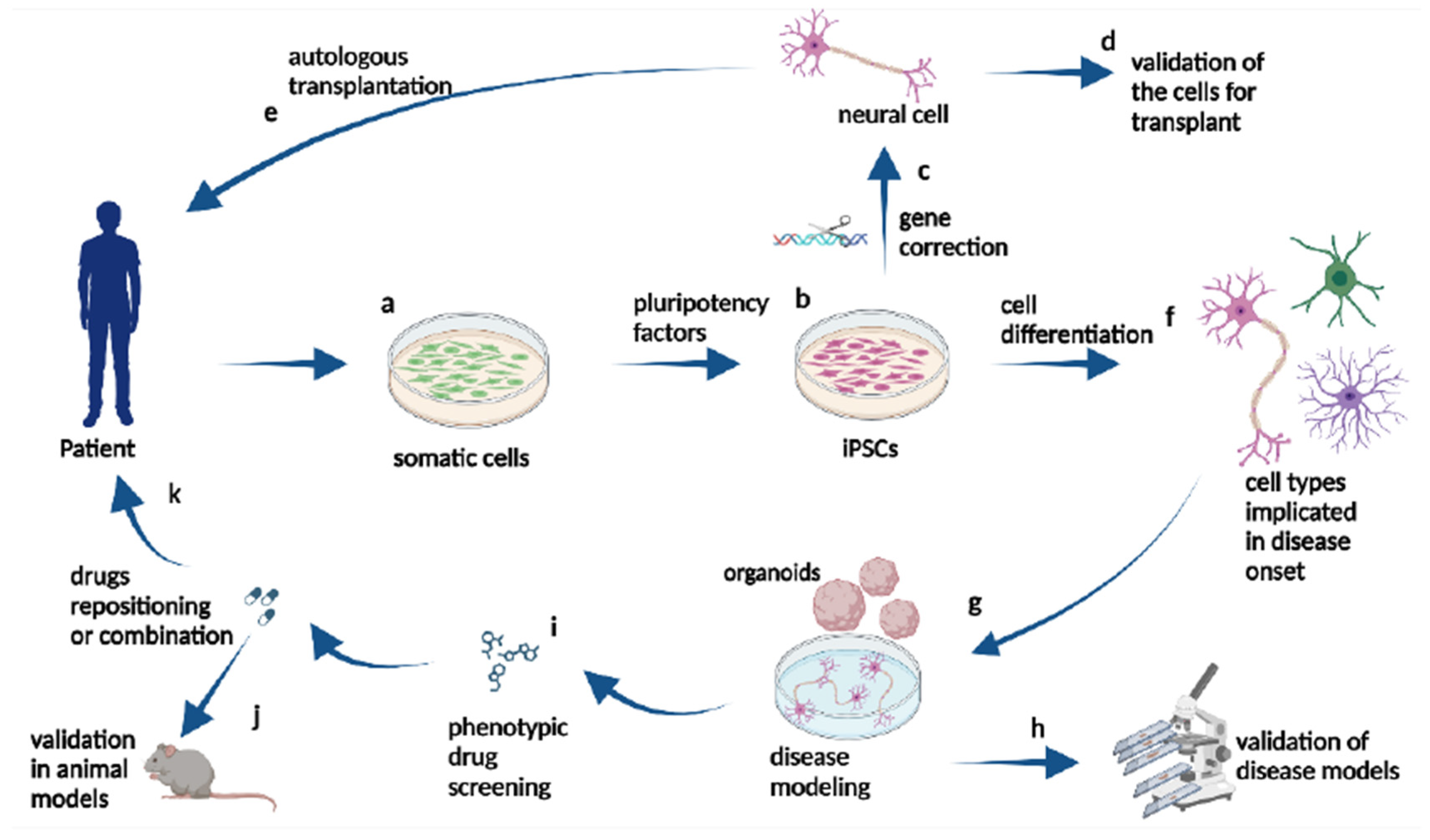 Vetsci 11 00666 g008