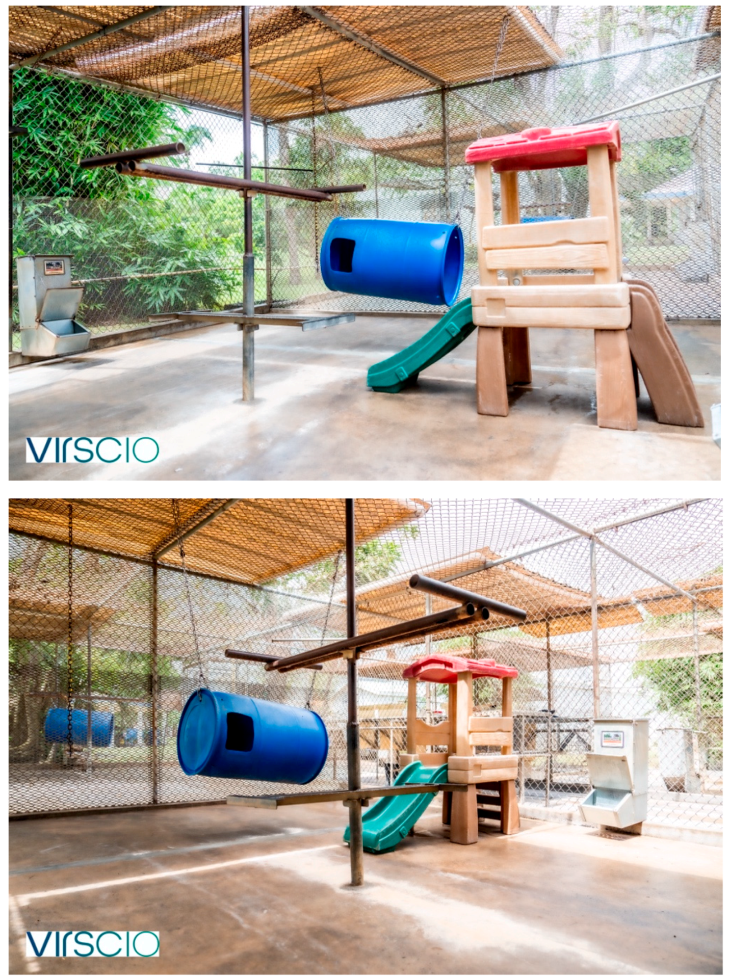 Vetsci 11 00667 g001