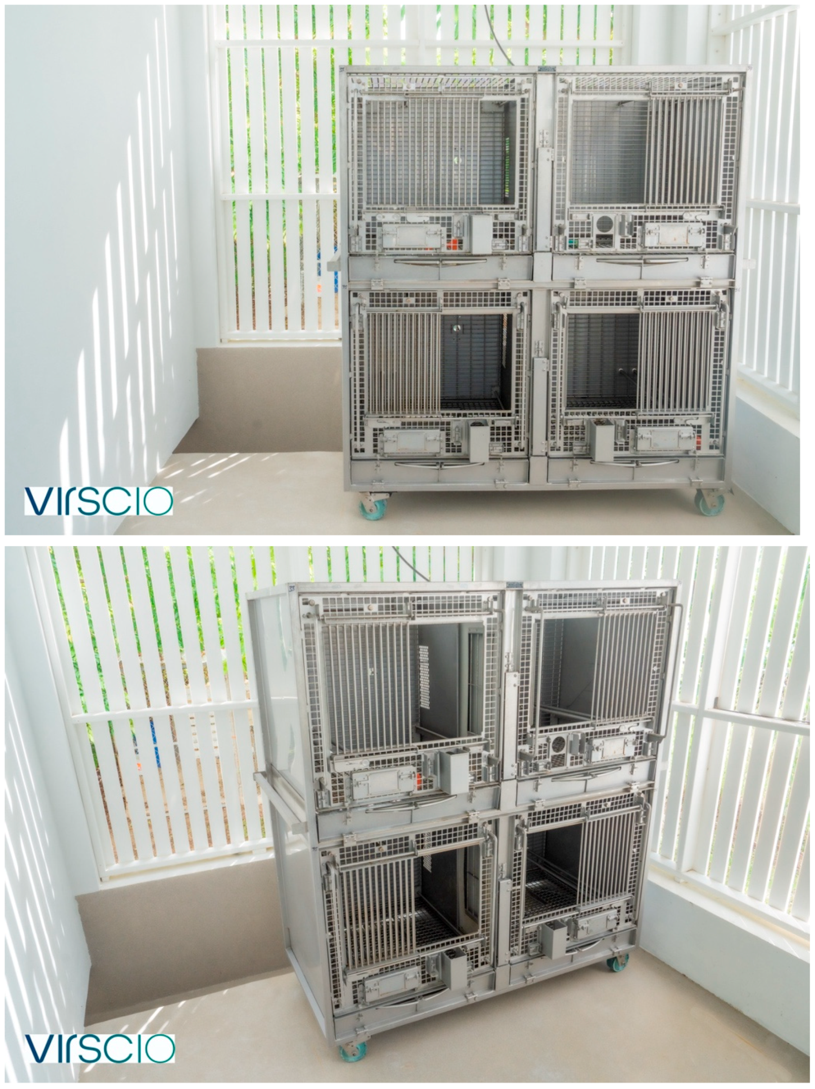 Vetsci 11 00667 g002