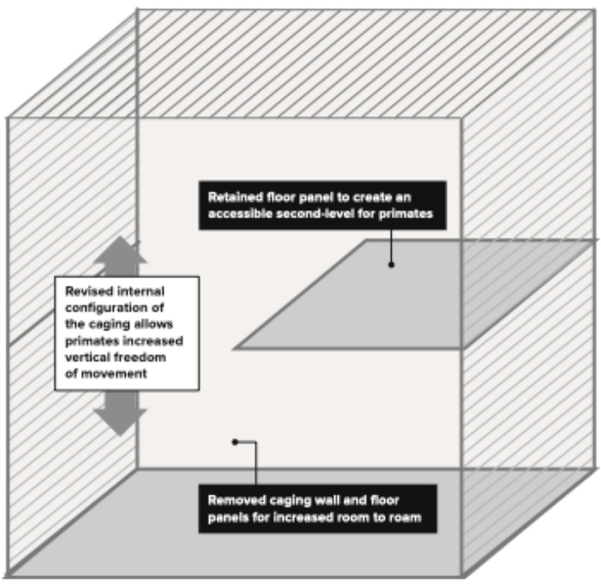 Vetsci 11 00667 g004