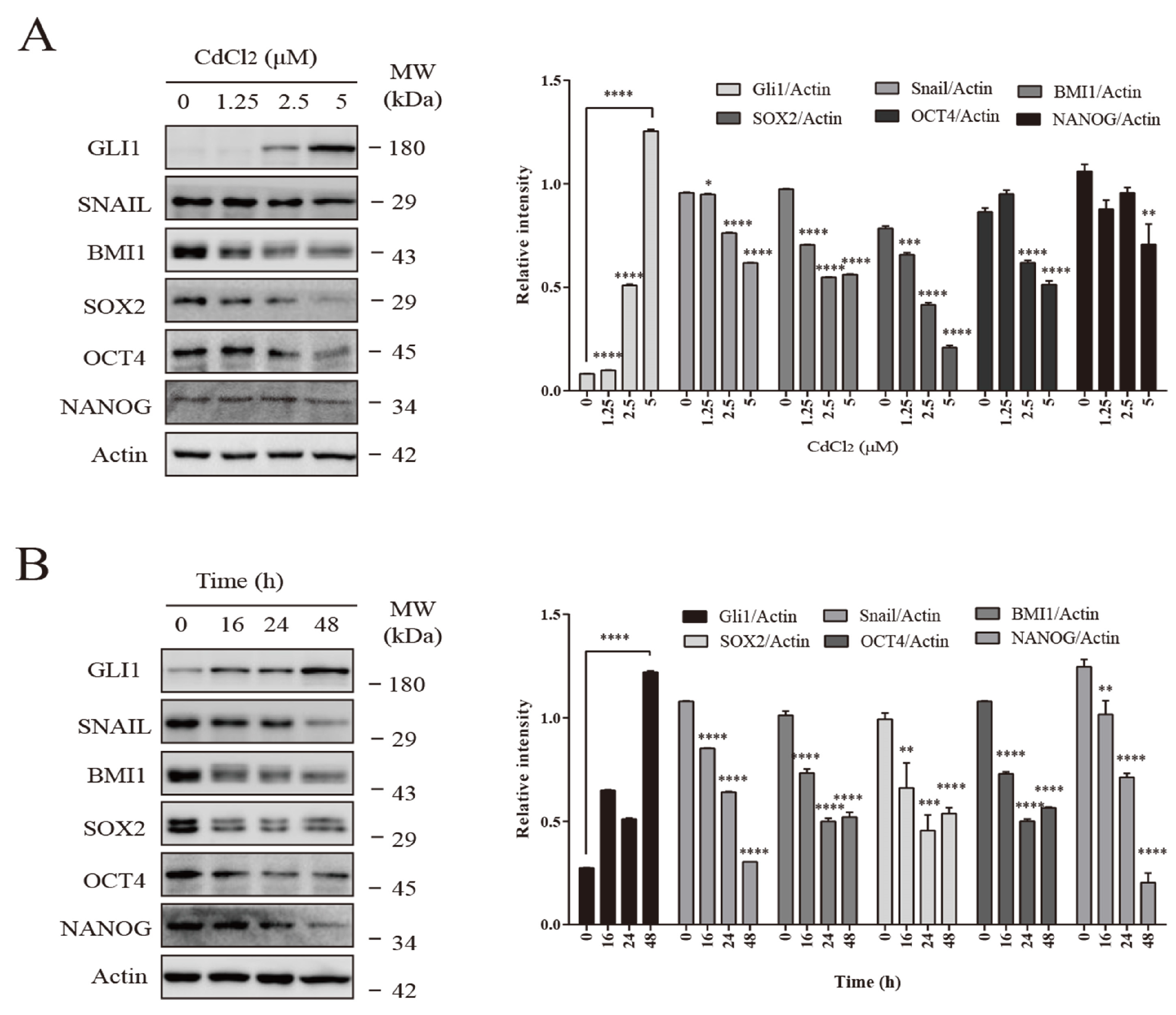 Vetsci 12 00007 g001