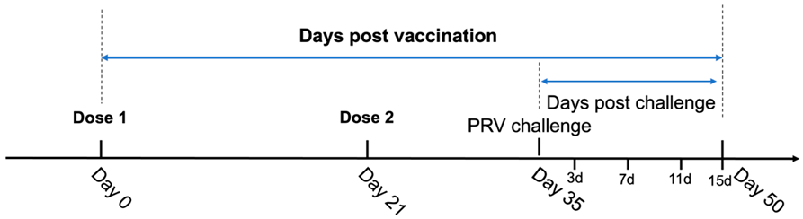 Vetsci 12 00025 i001
