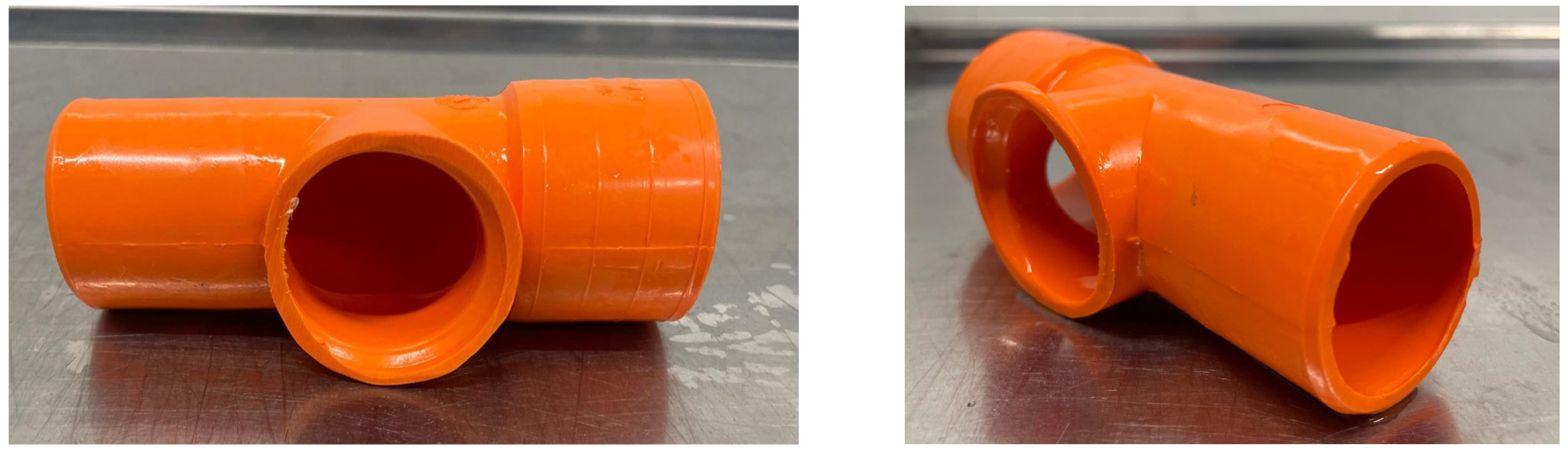 Vetsci 12 00038 g001