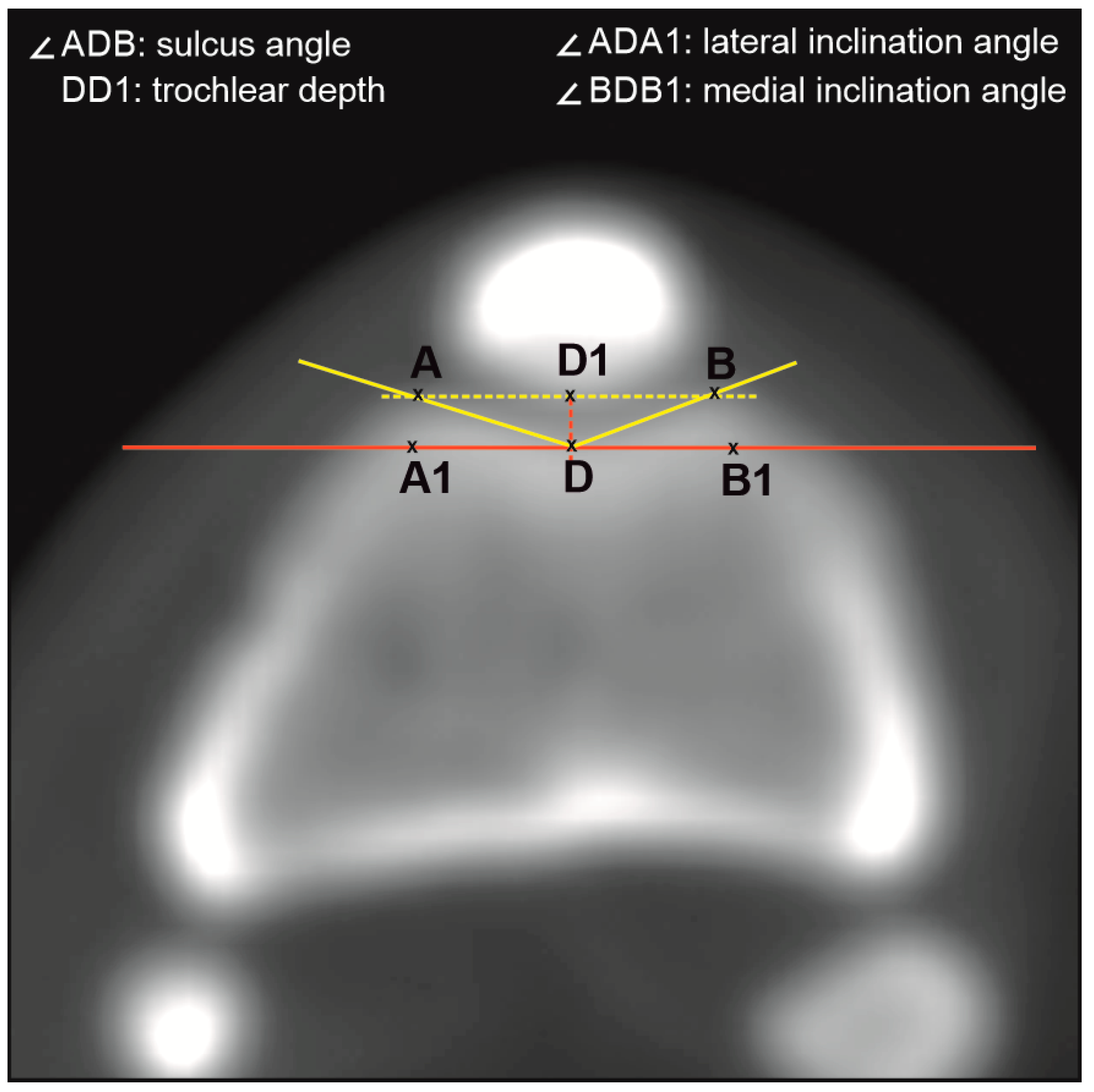 Vetsci 12 00049 g001