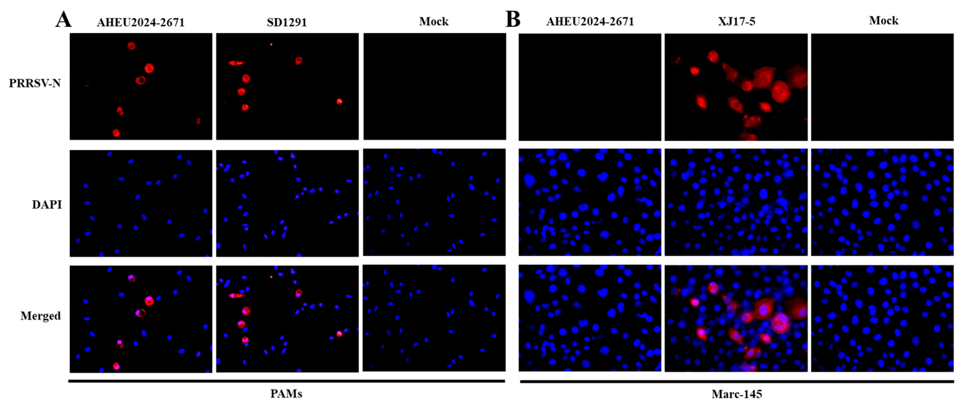 Vetsci 12 00061 g002