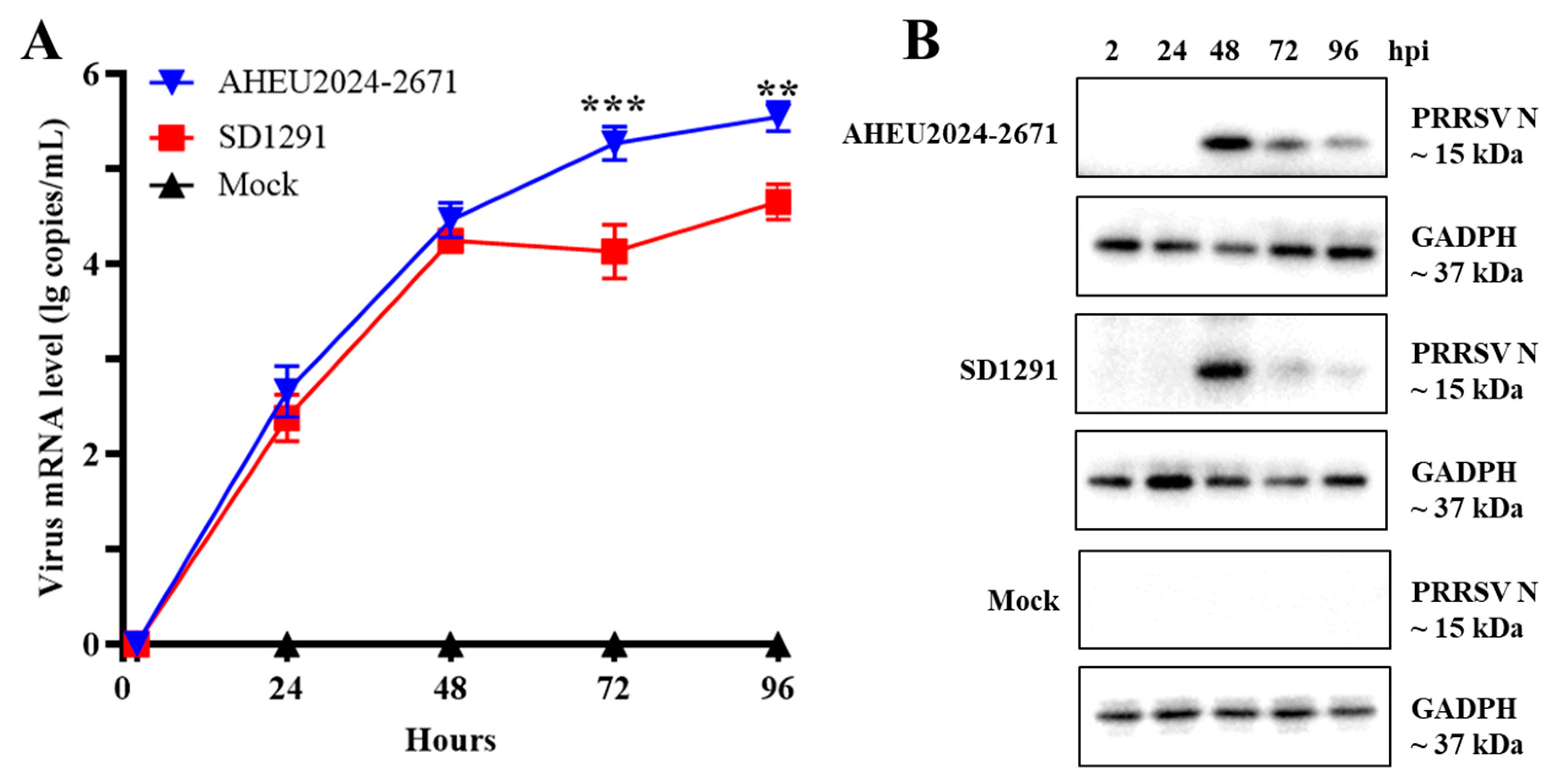 Vetsci 12 00061 g003