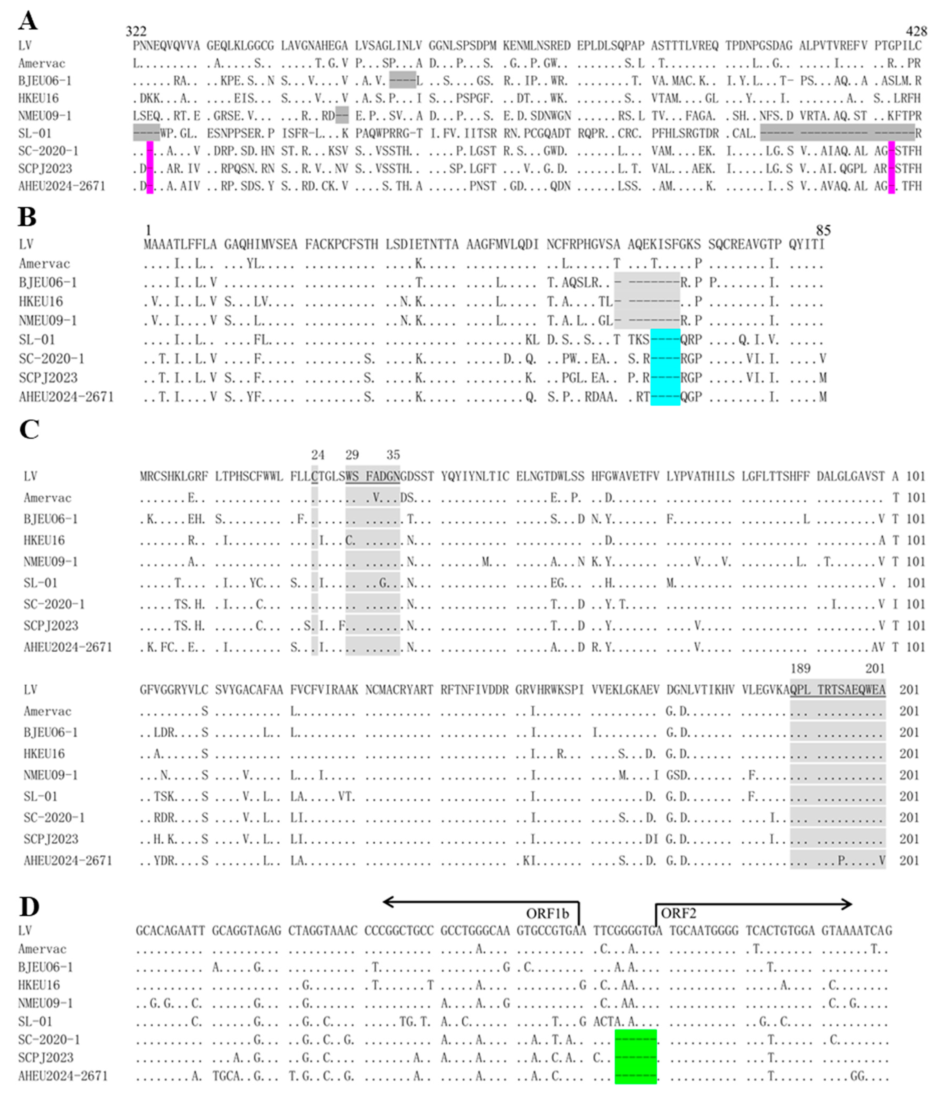 Vetsci 12 00061 g004