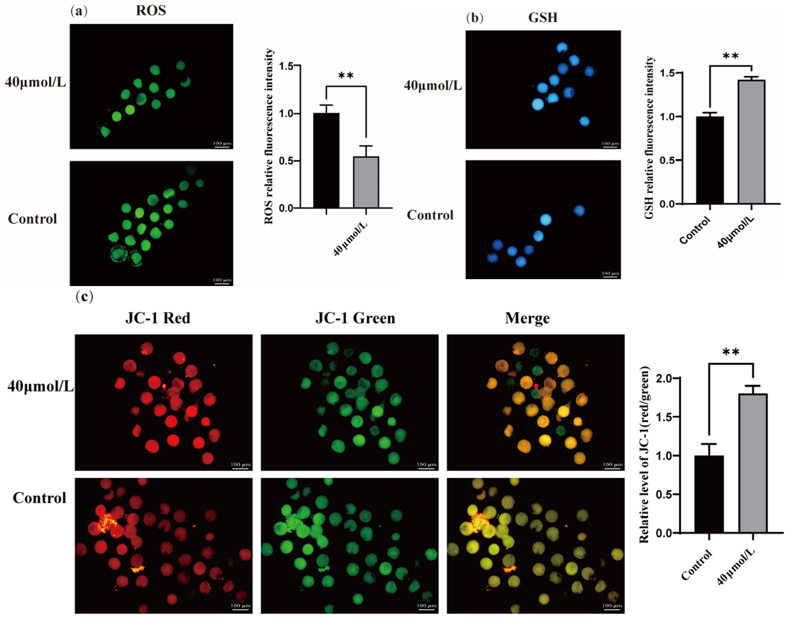 Vetsci 12 00062 g002