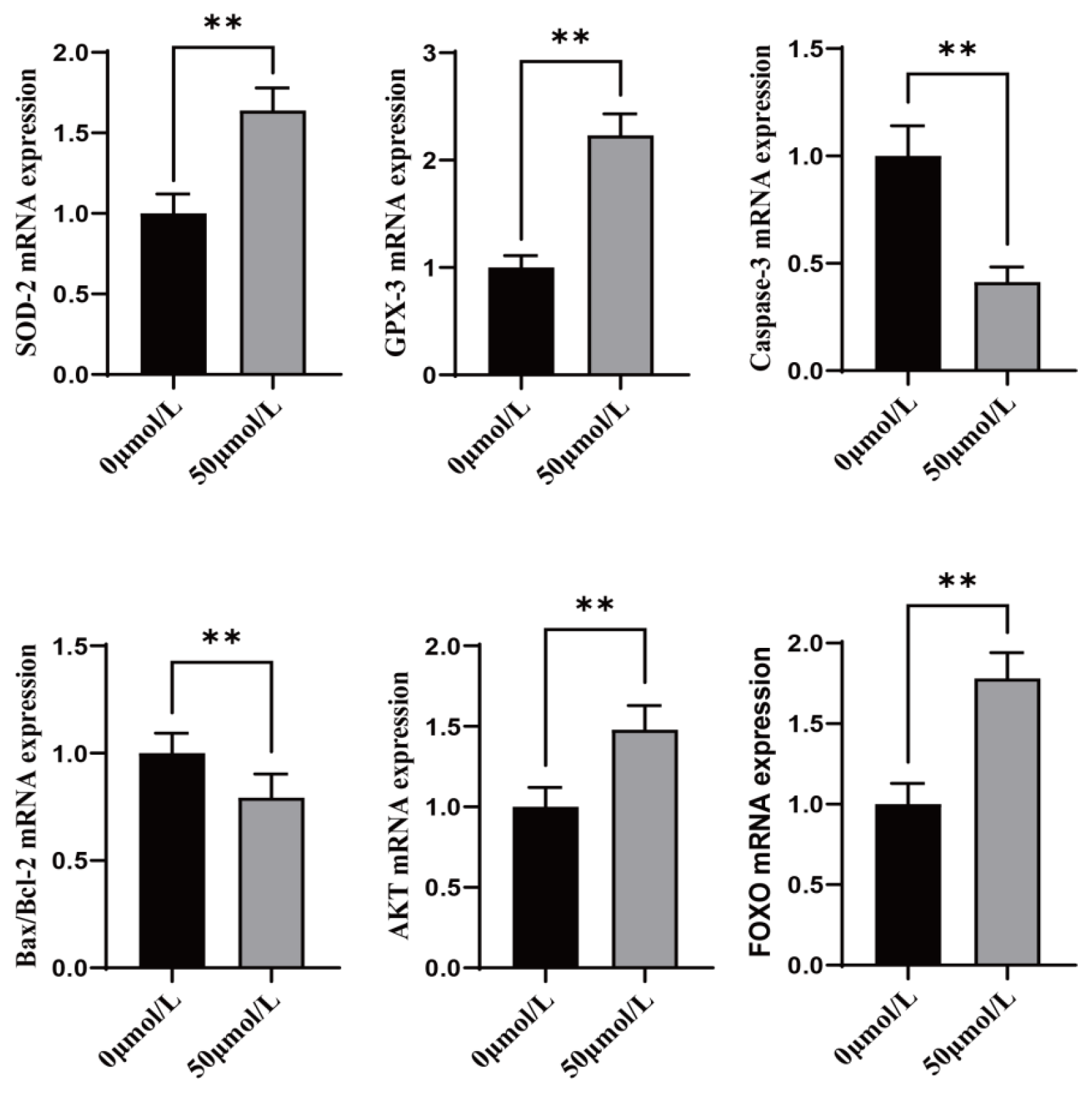 Vetsci 12 00062 g006
