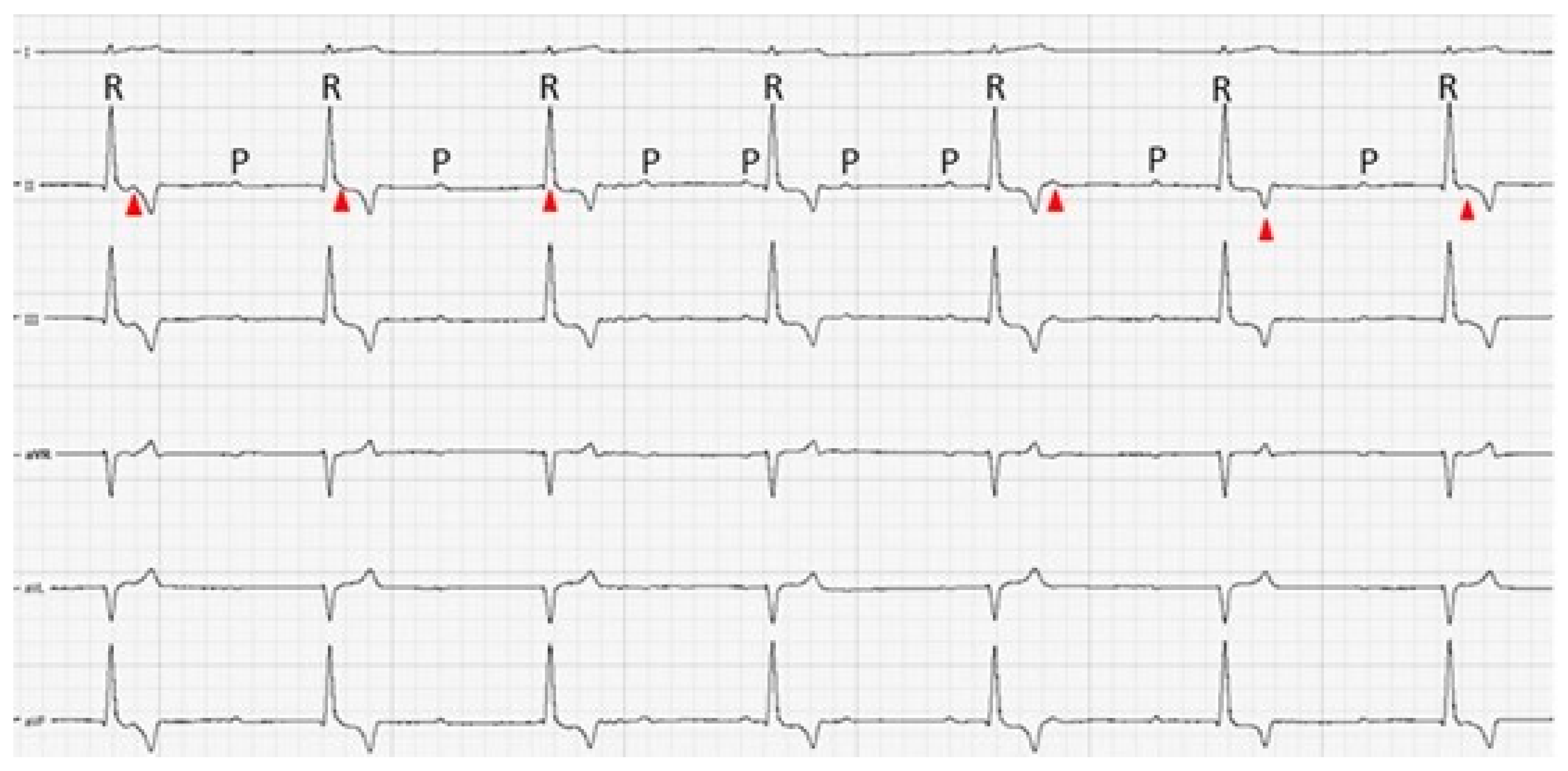 Vetsci 12 00063 g001