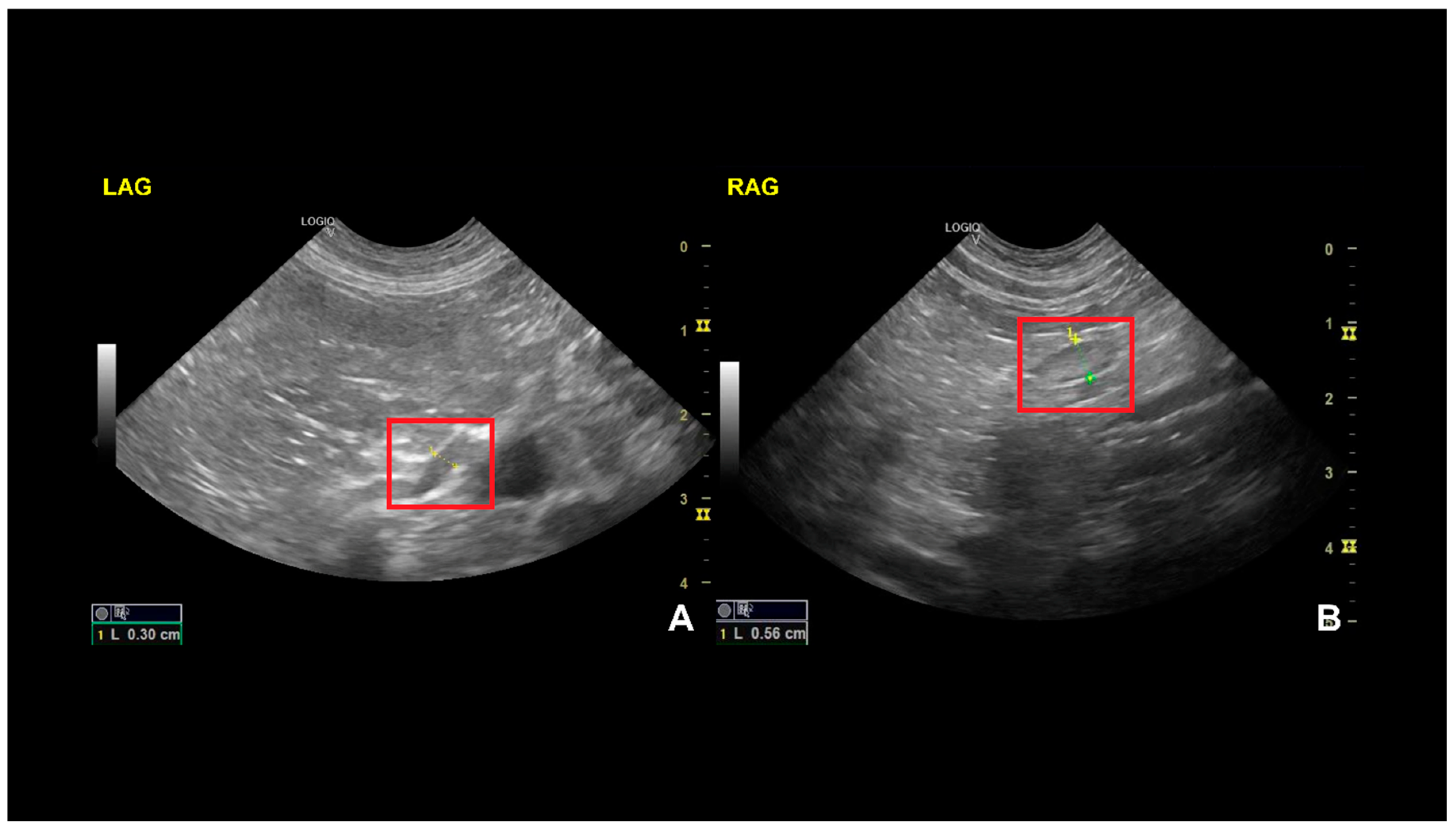 Vetsci 12 00063 g002