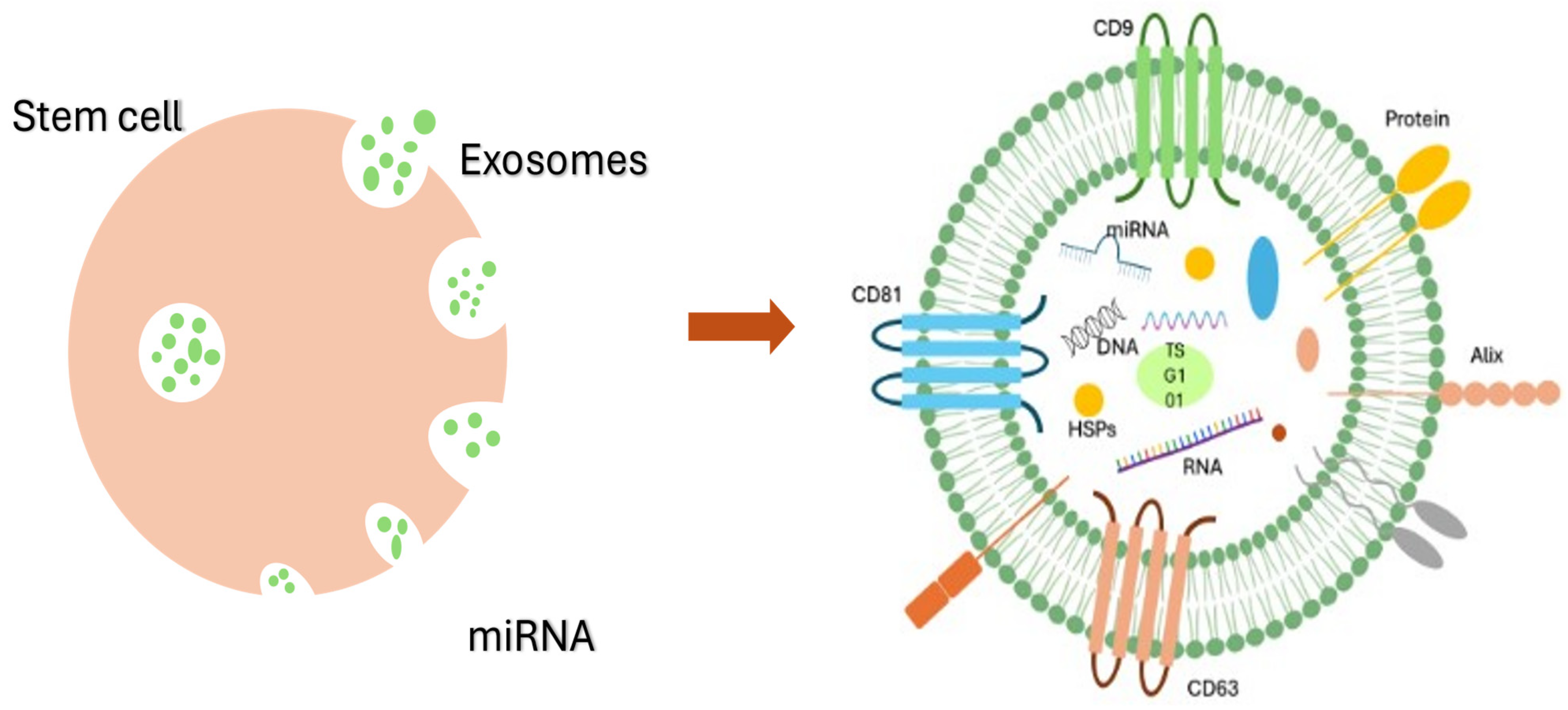 Vetsci 12 00067 g001 Vetsci 12 00067 g001