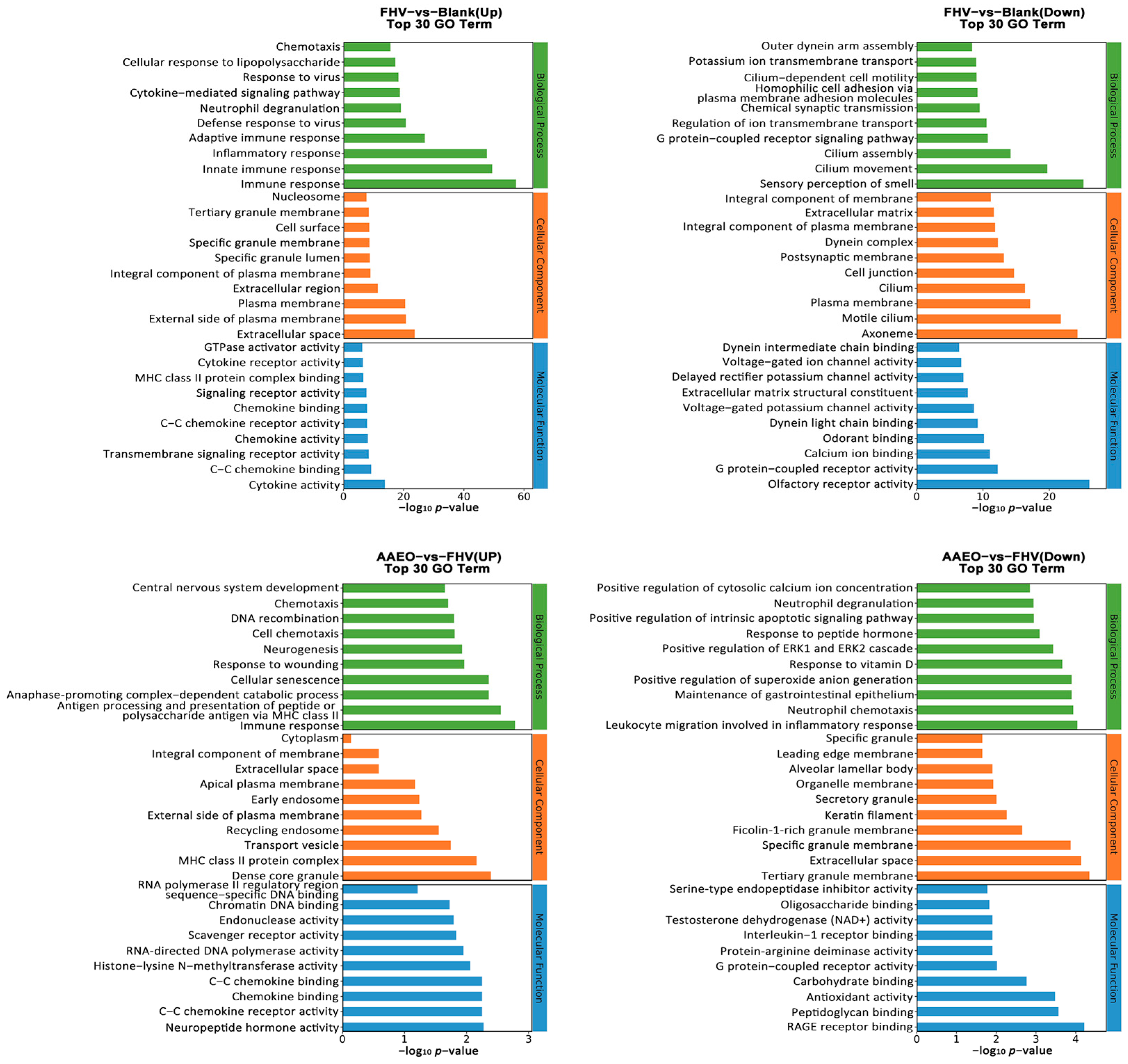 Vetsci 12 00080 g004
