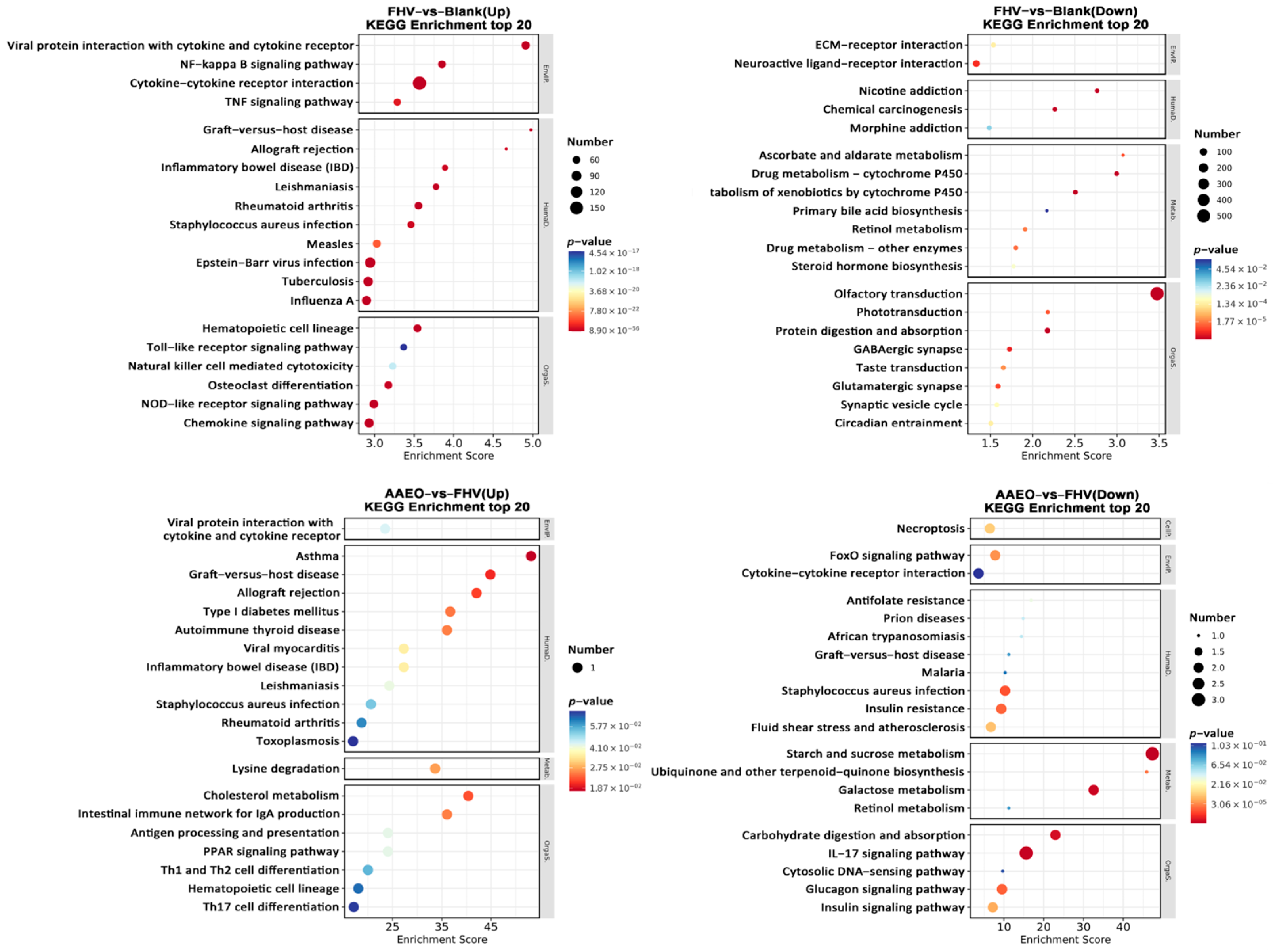 Vetsci 12 00080 g005