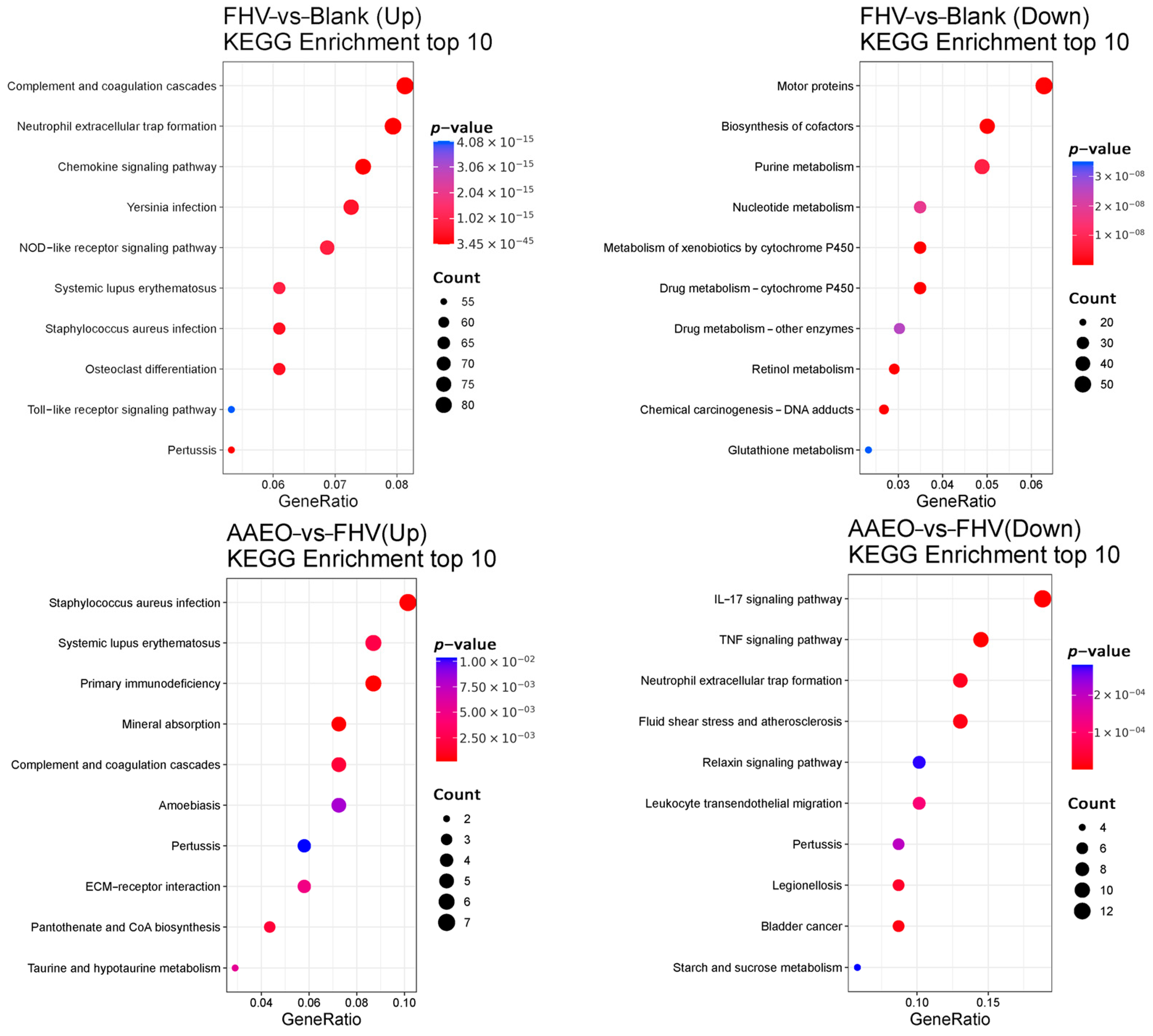 Vetsci 12 00080 g008