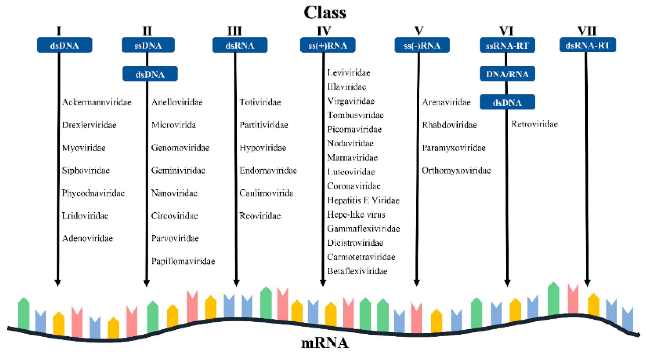 Vetsci 12 00081 g001